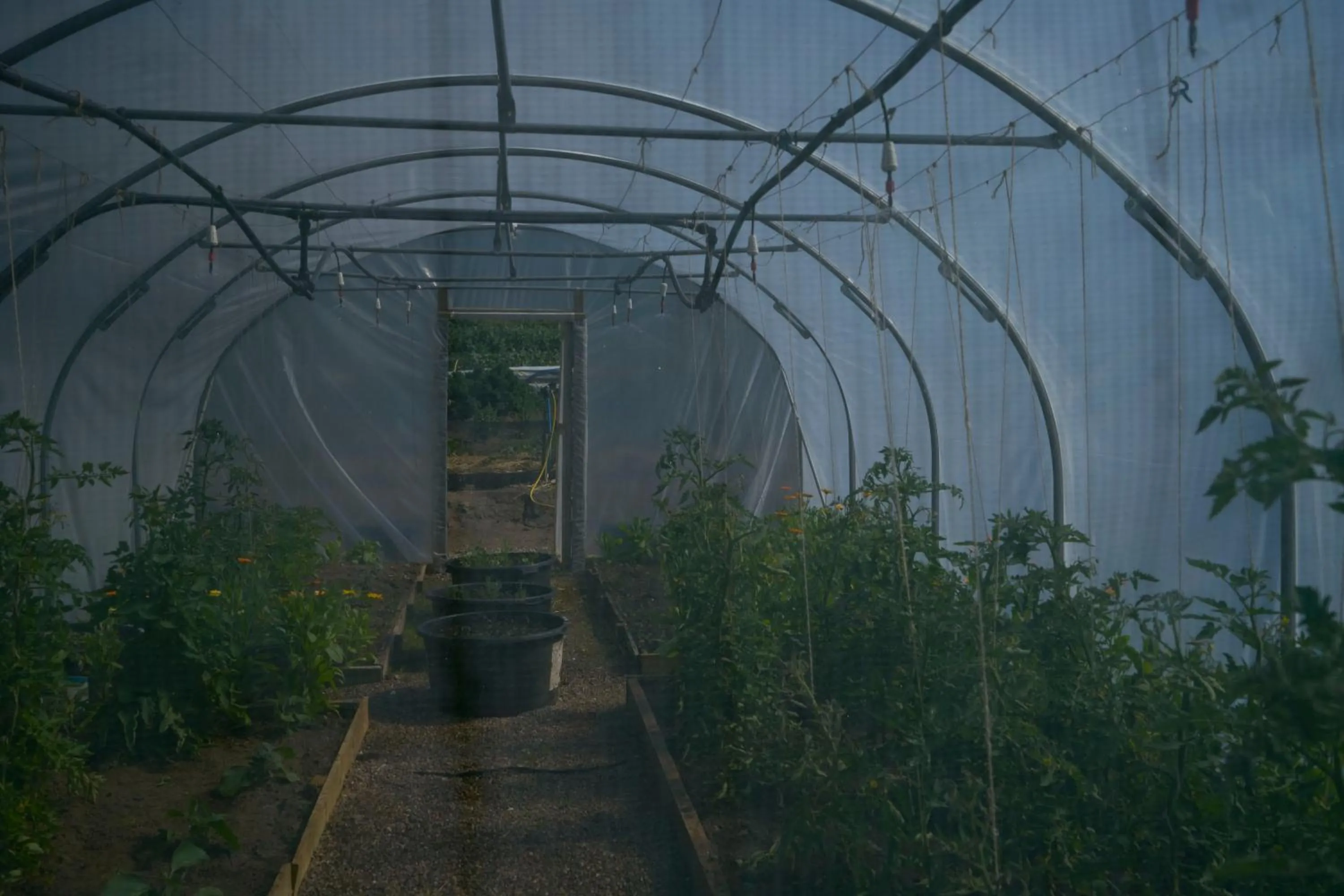 Garden in Boath House Hotel