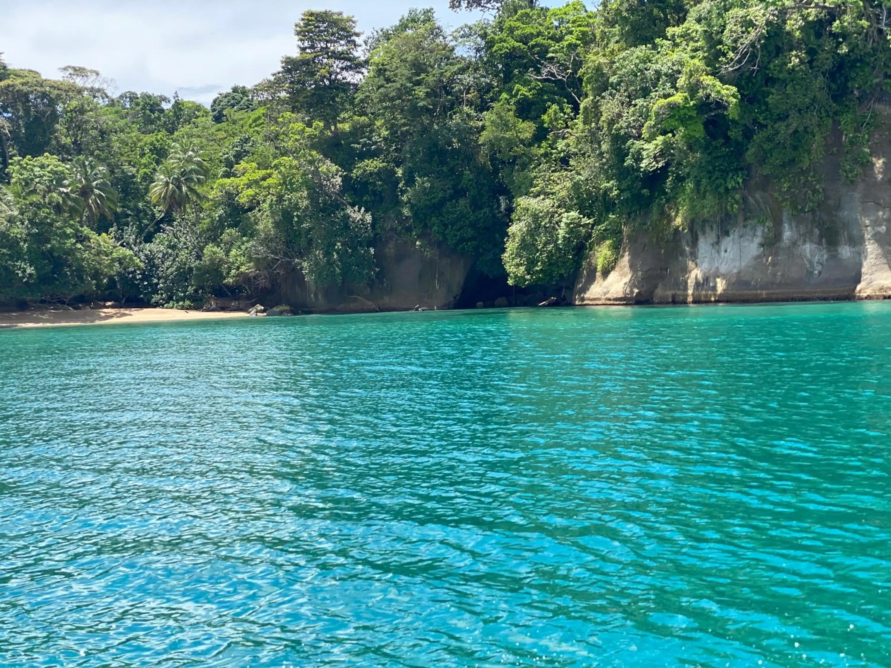 Natural landscape in Hotel Caribbean View