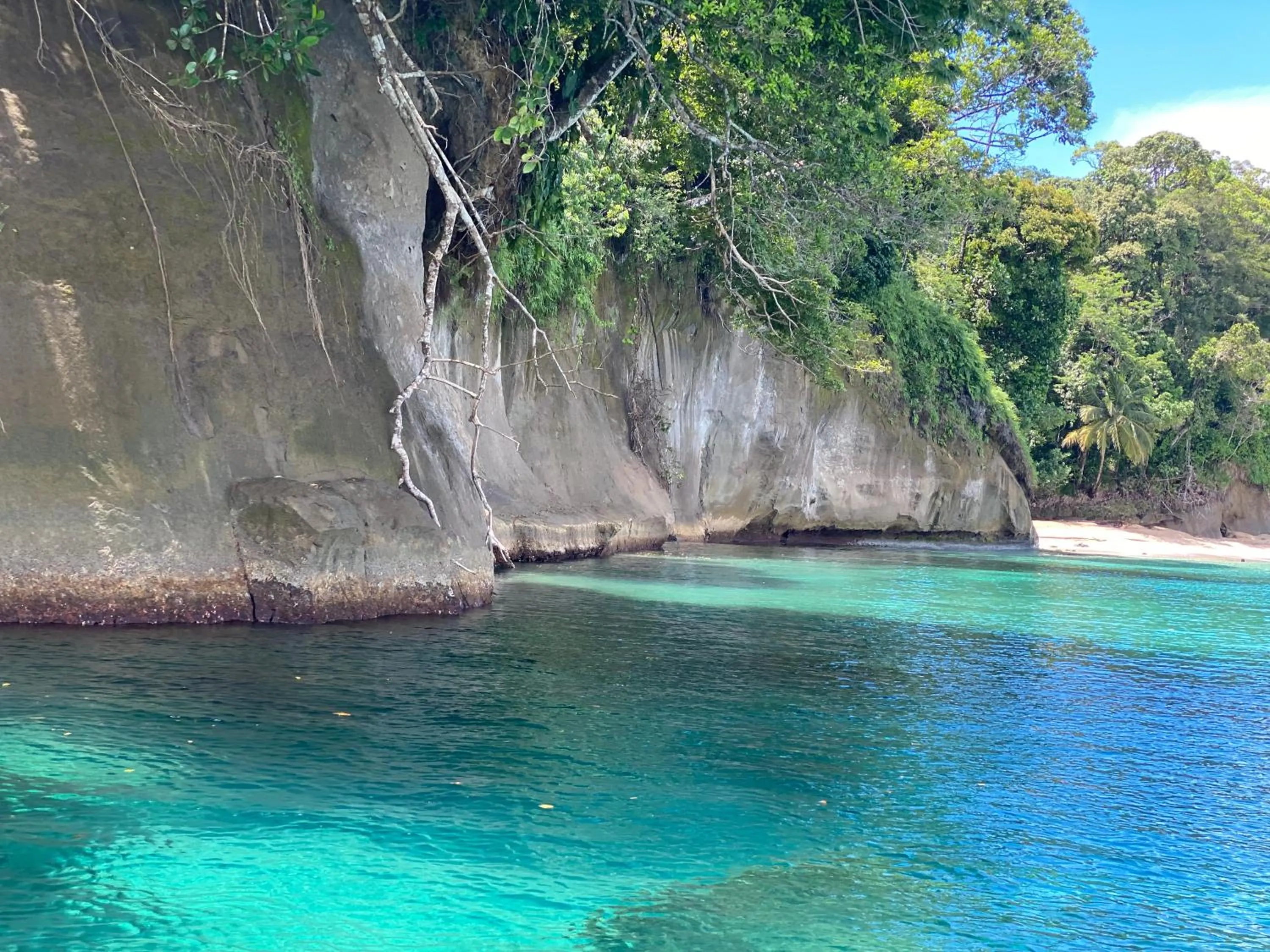 Natural landscape in Hotel Caribbean View