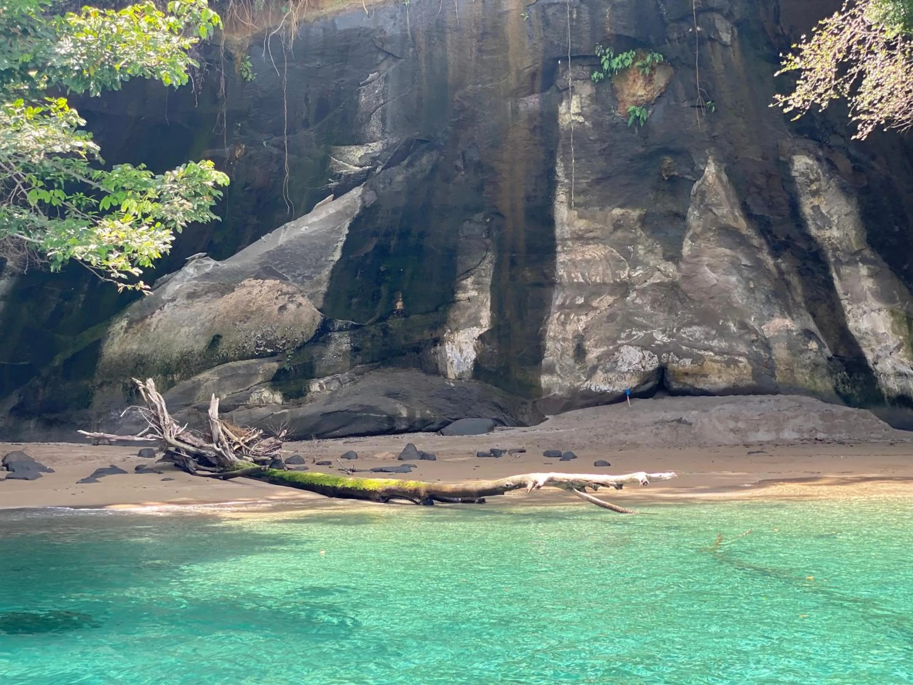 Hotel Caribbean View