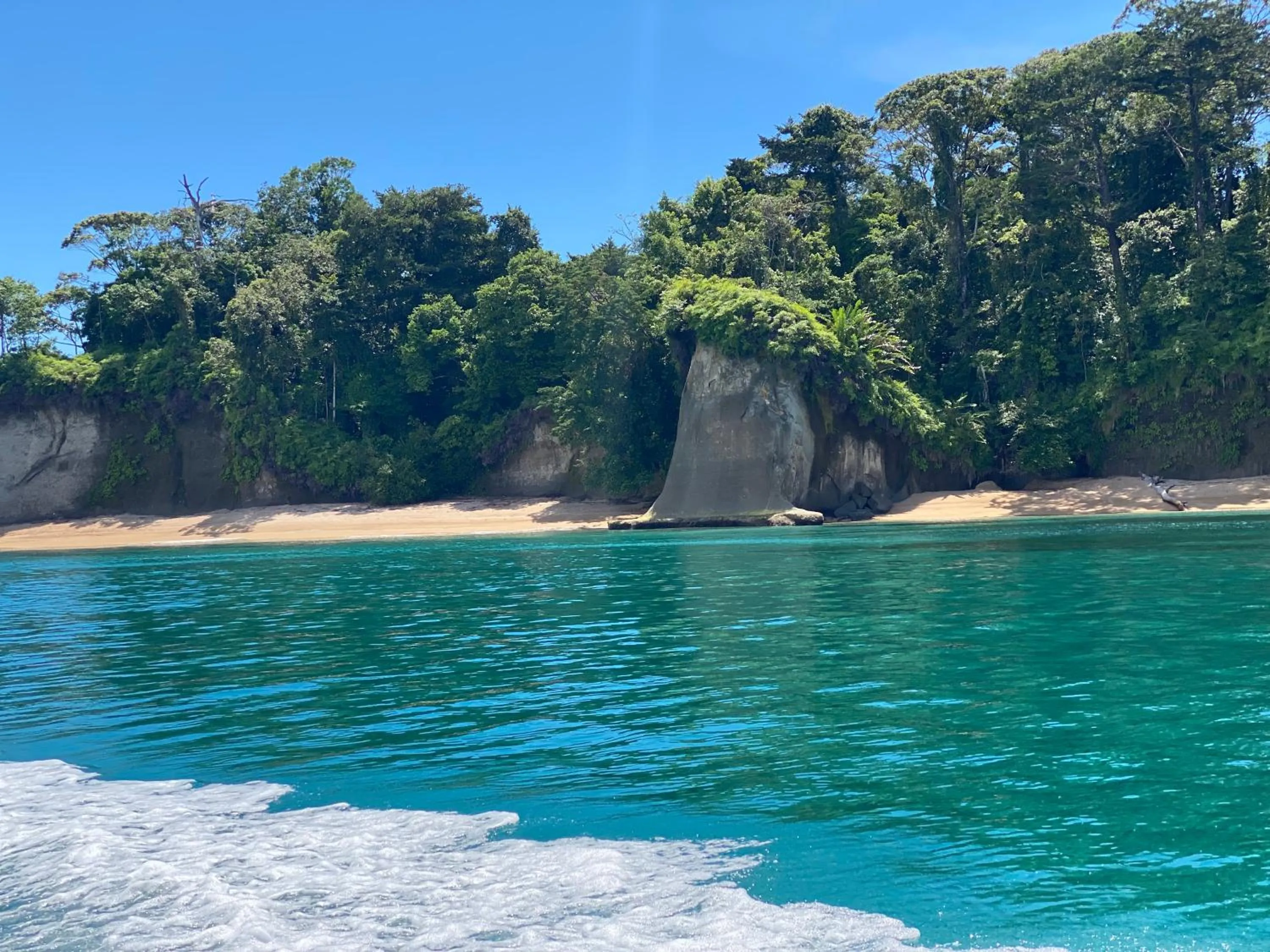 Hotel Caribbean View