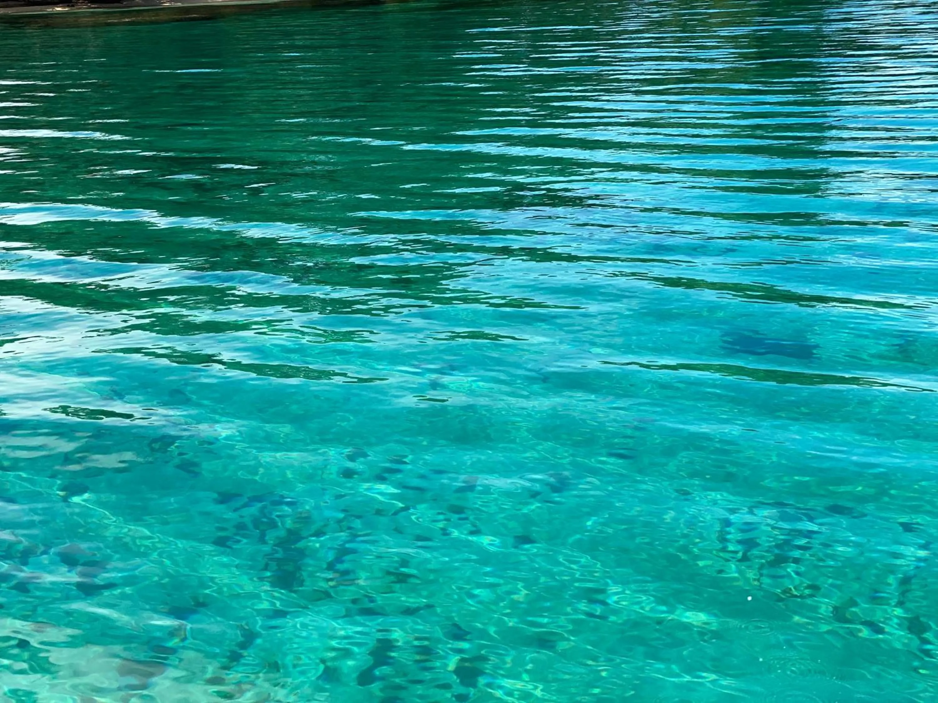 Natural landscape in Hotel Caribbean View