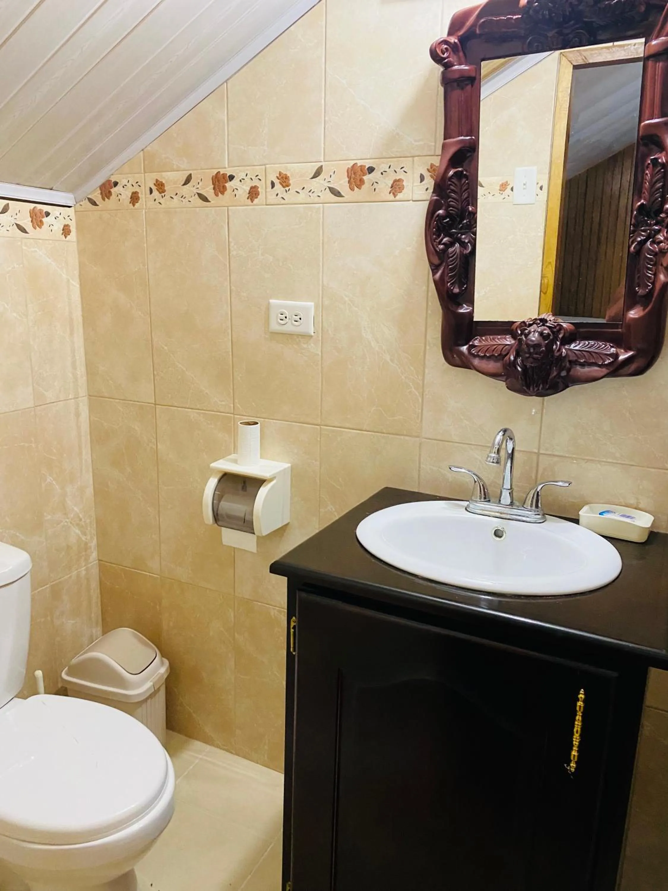 Bathroom in Hotel Caribbean View