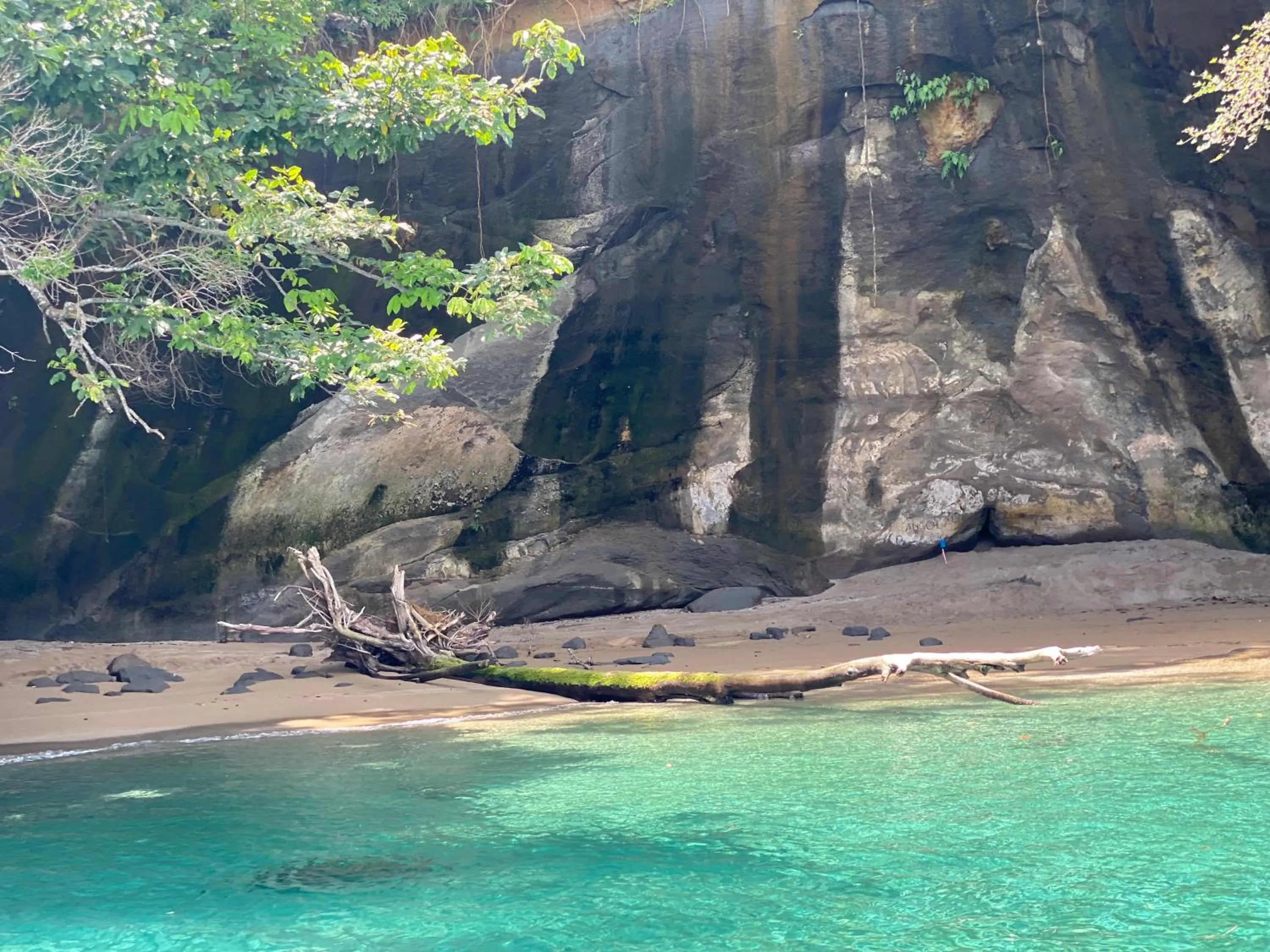 Natural landscape in Hotel Caribbean View