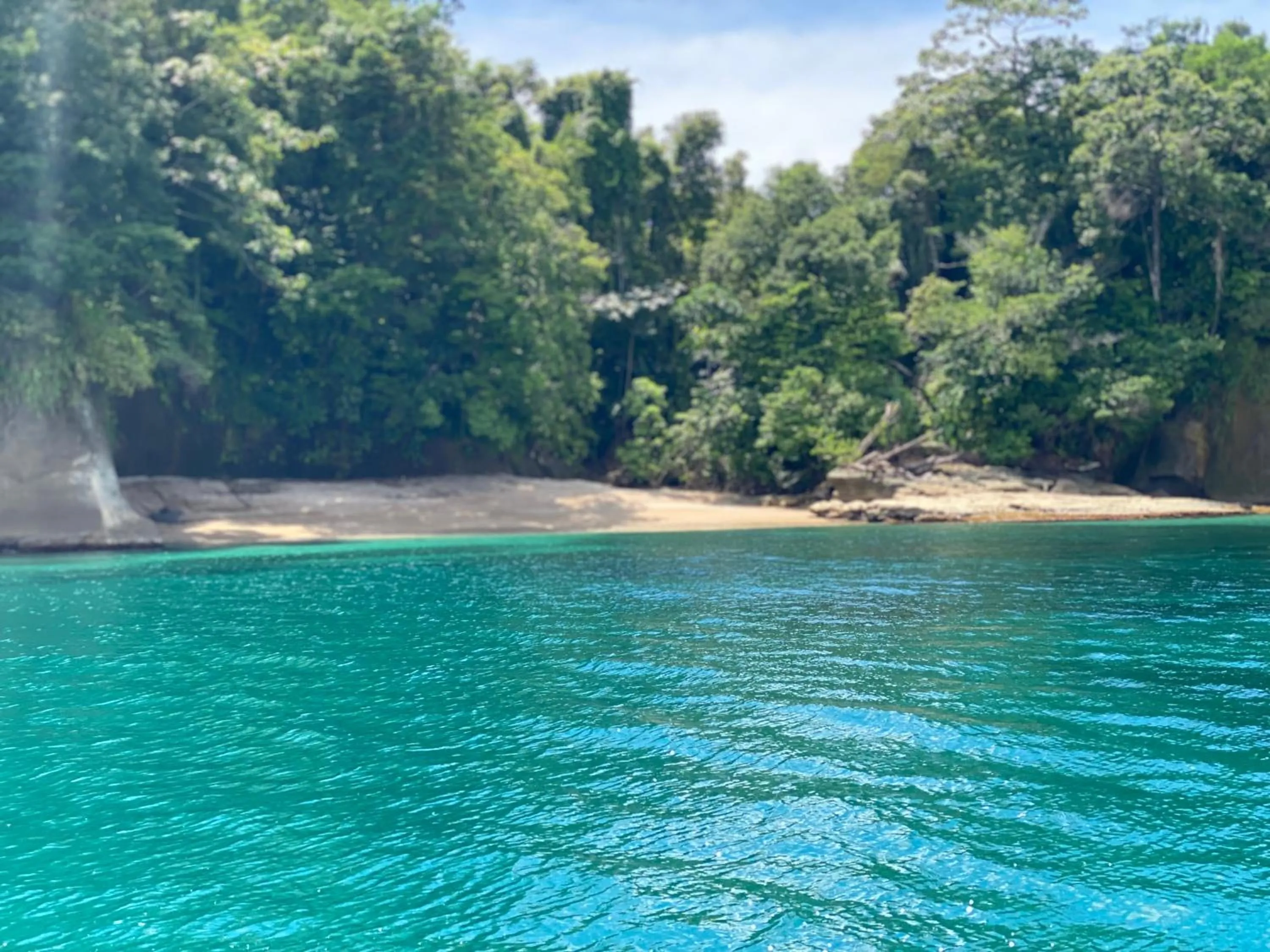 Natural landscape in Hotel Caribbean View