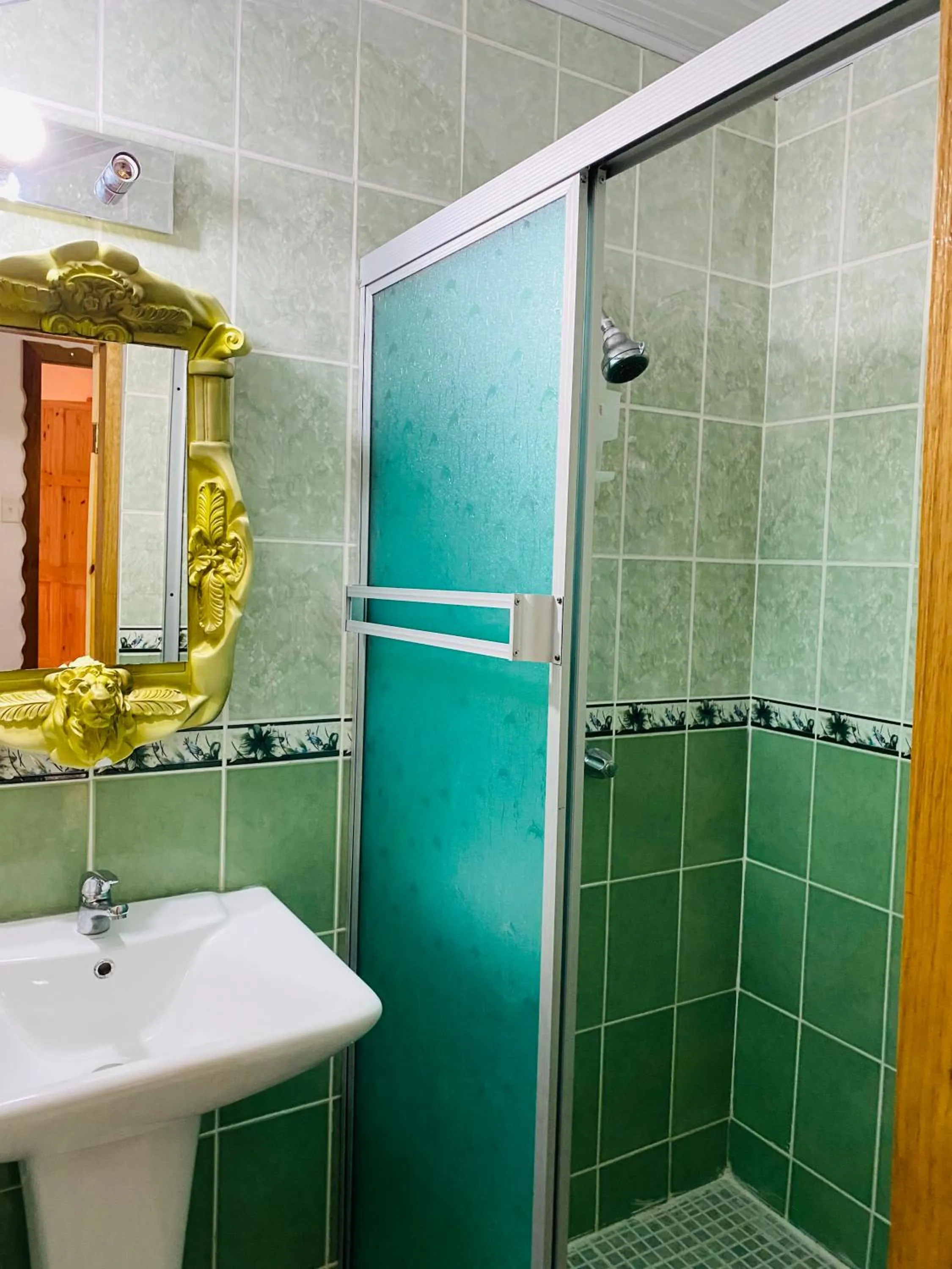 Bathroom in Hotel Caribbean View