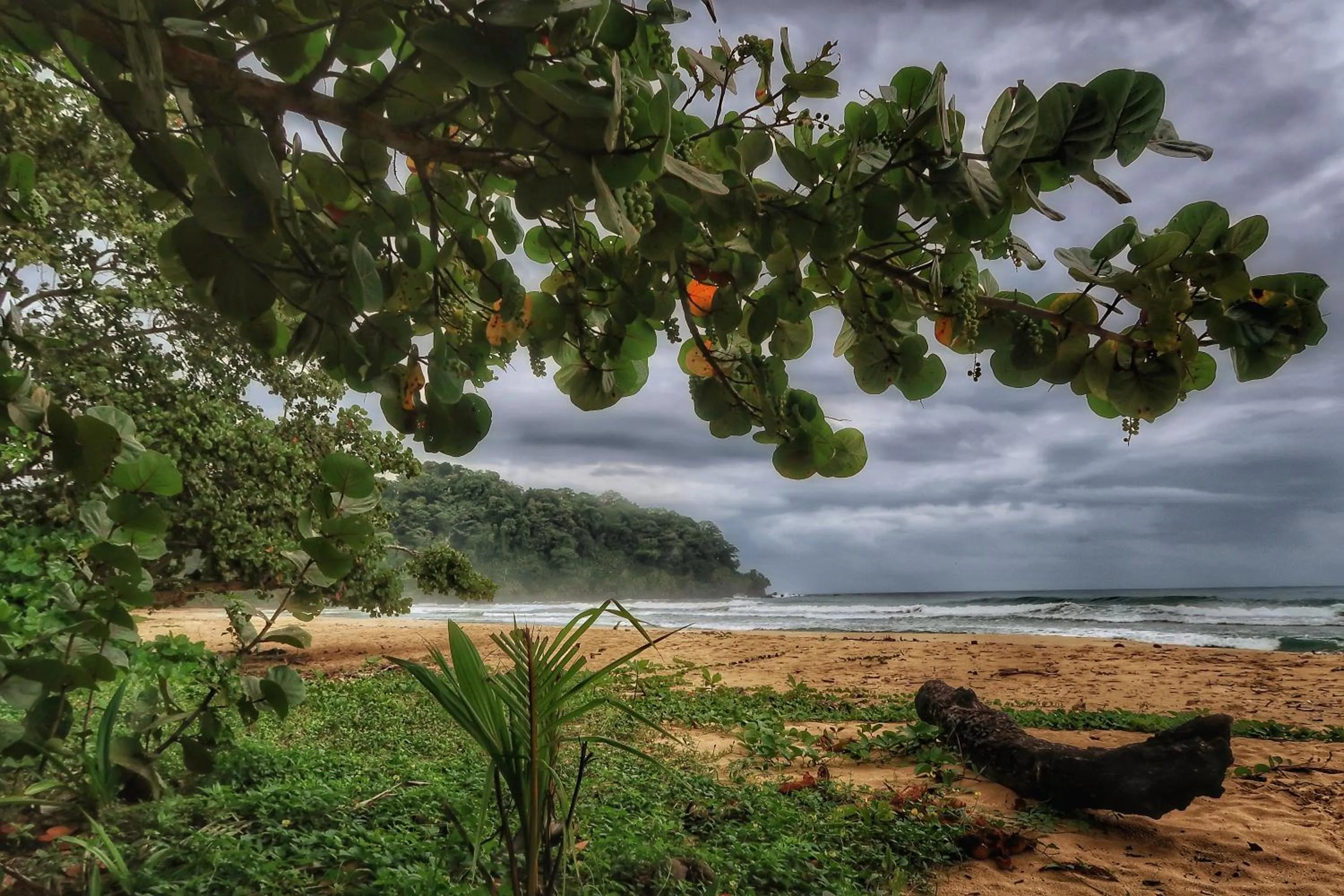 Beach in Hotel Caribbean View