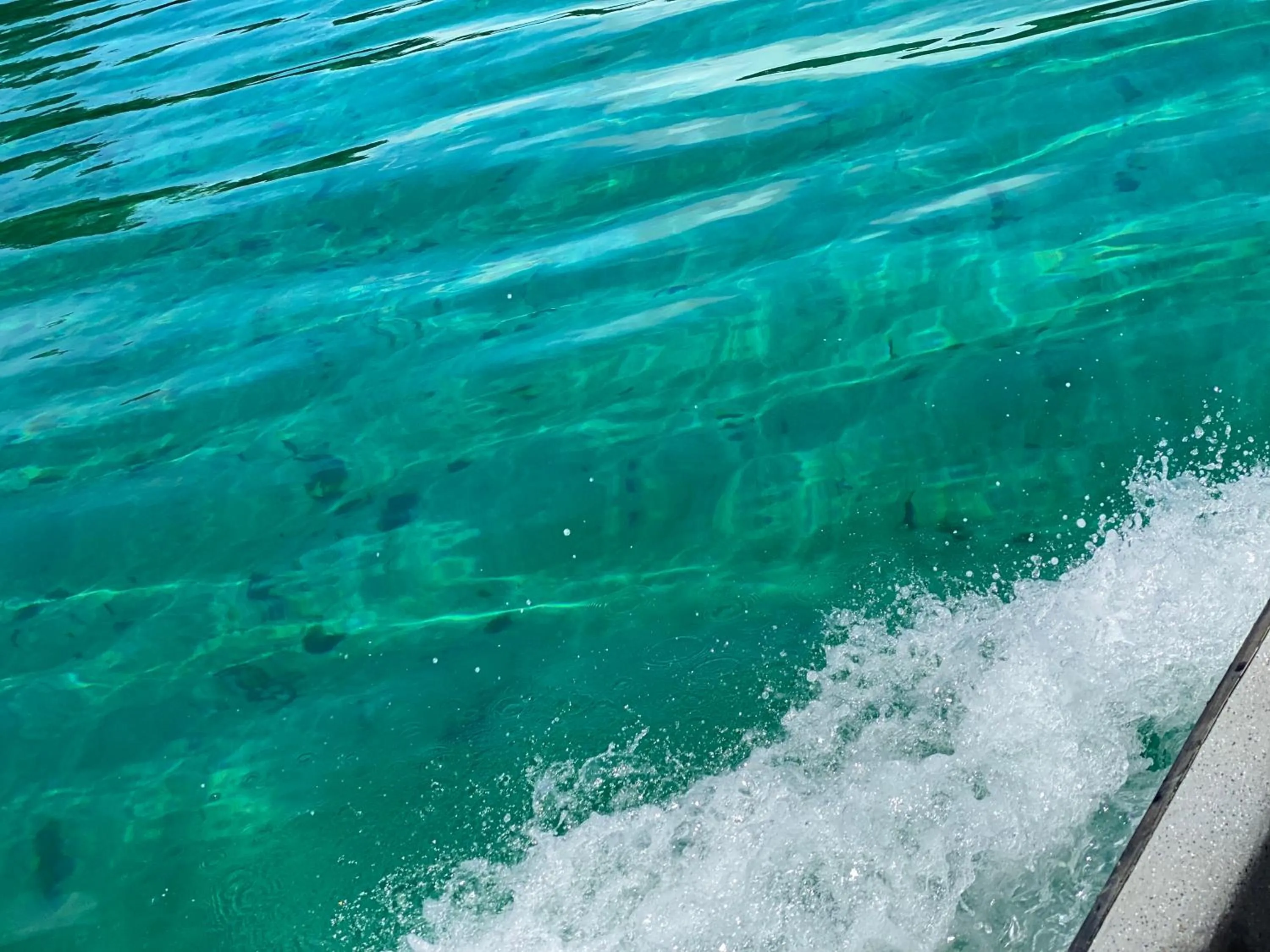 Natural landscape in Hotel Caribbean View