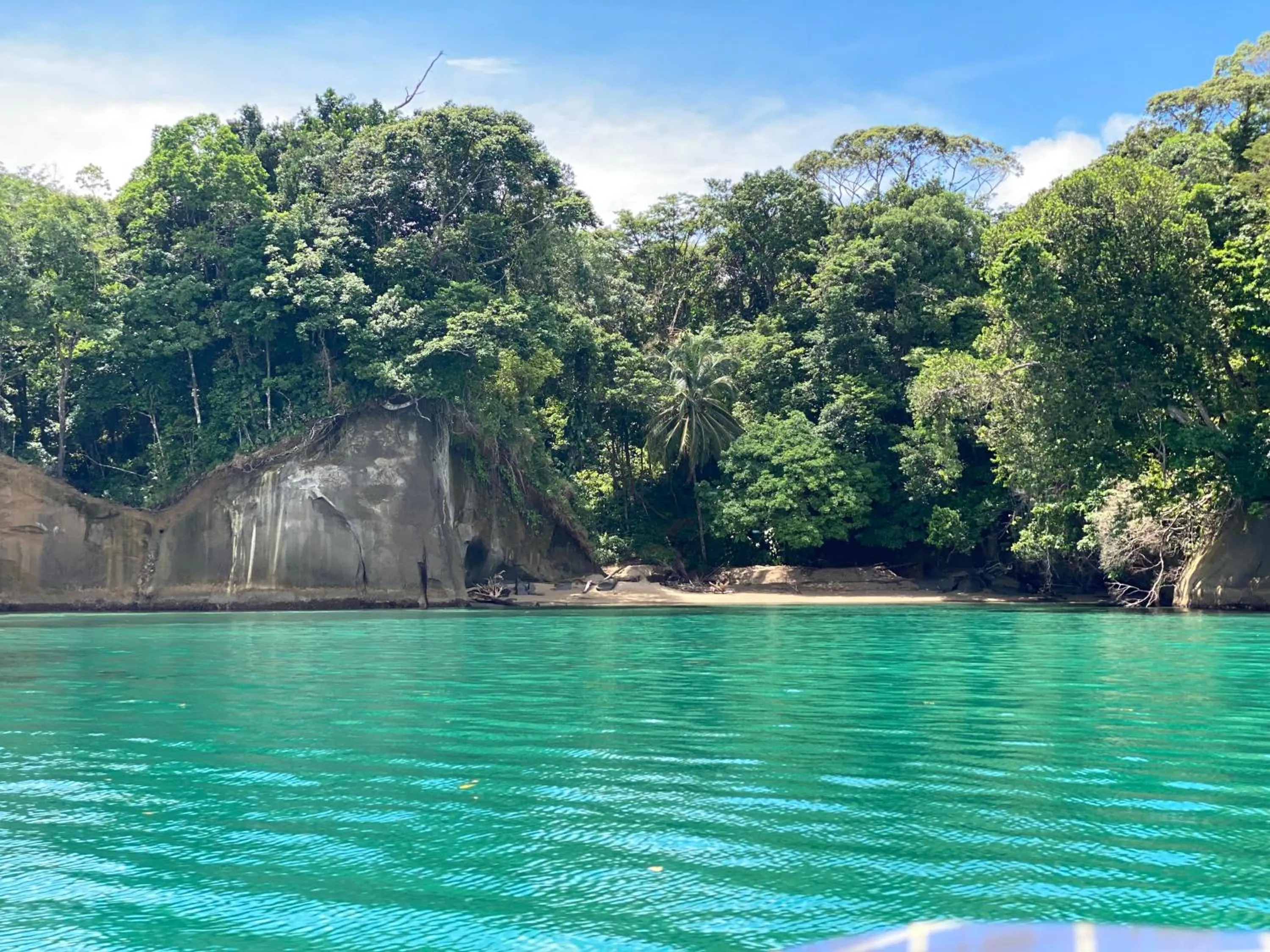 Natural landscape in Hotel Caribbean View
