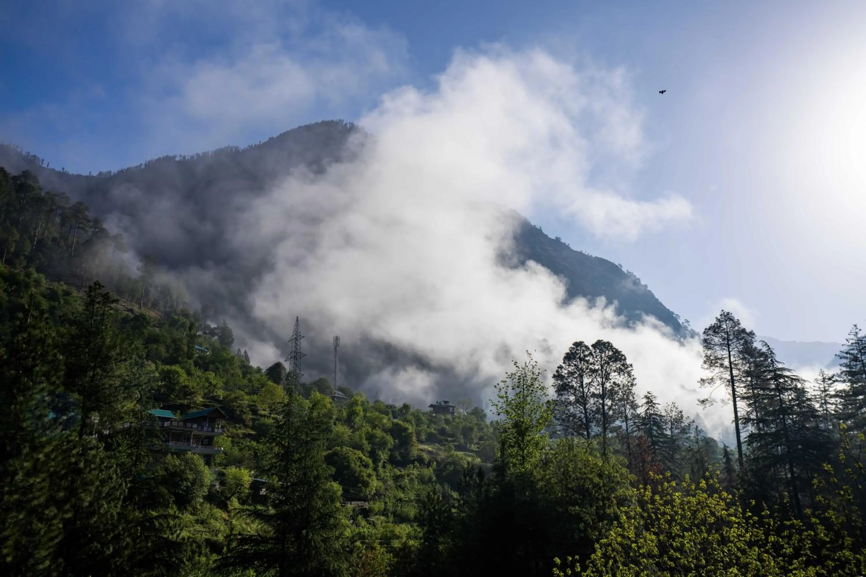 Day in Zostel Kasol (Katagla)
