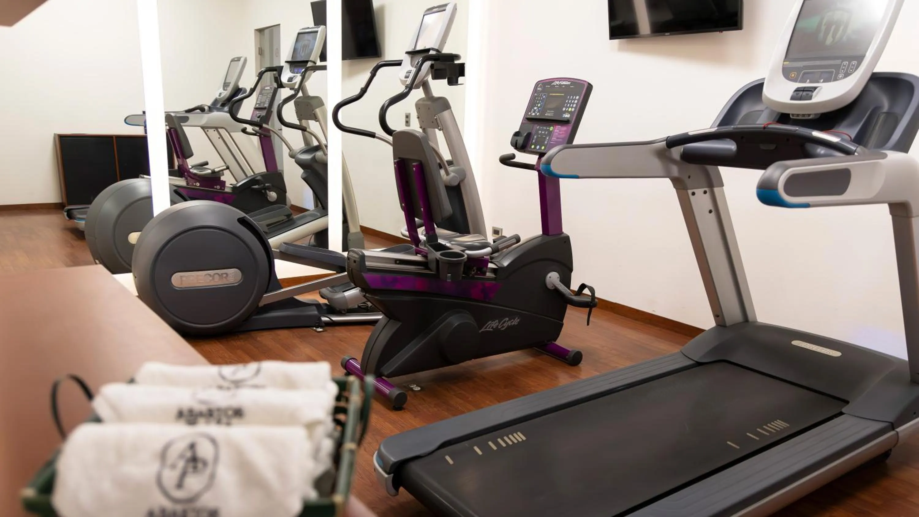 Fitness centre/facilities in Hotel Abastos Plaza