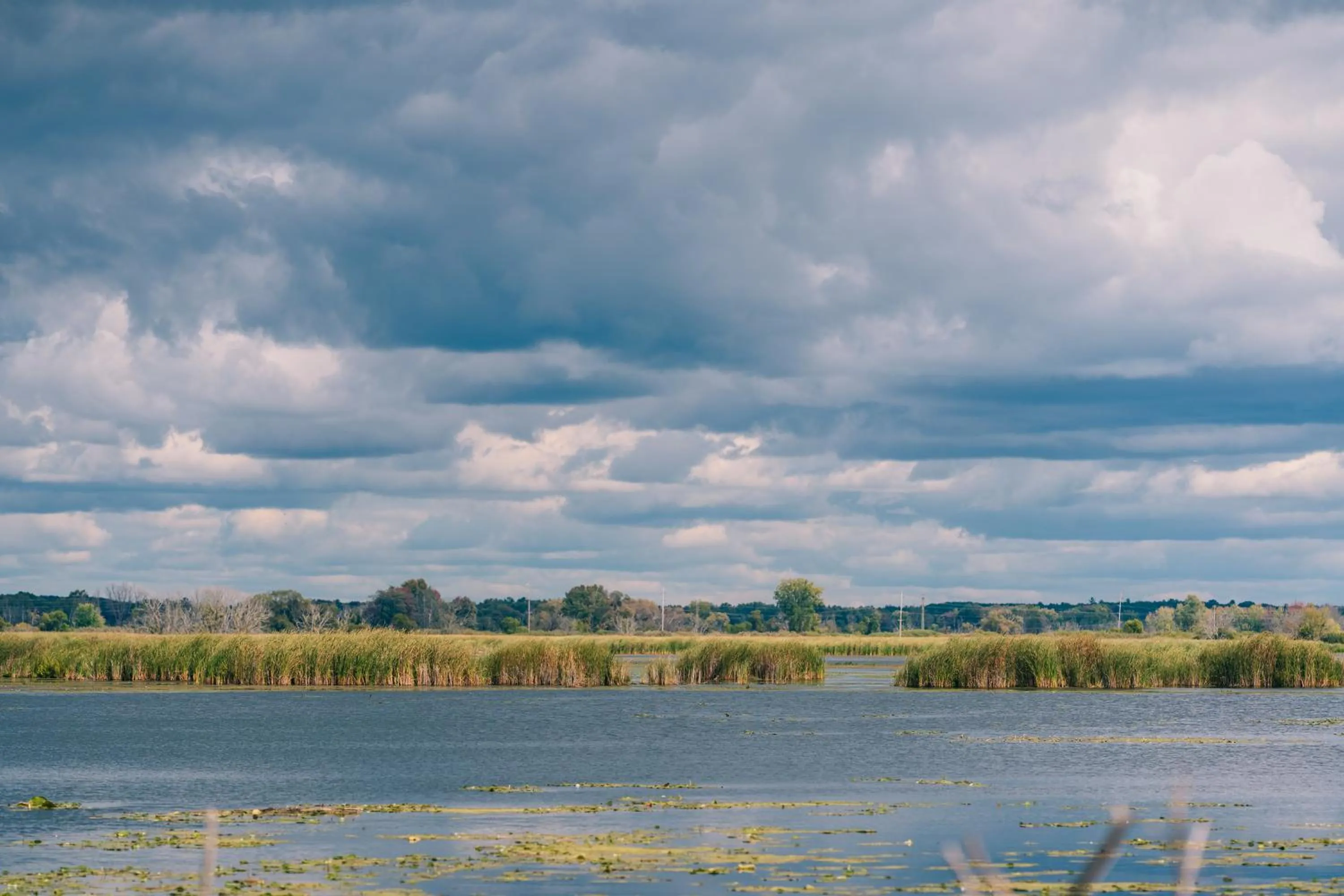 Hiking in Weathervane Inn