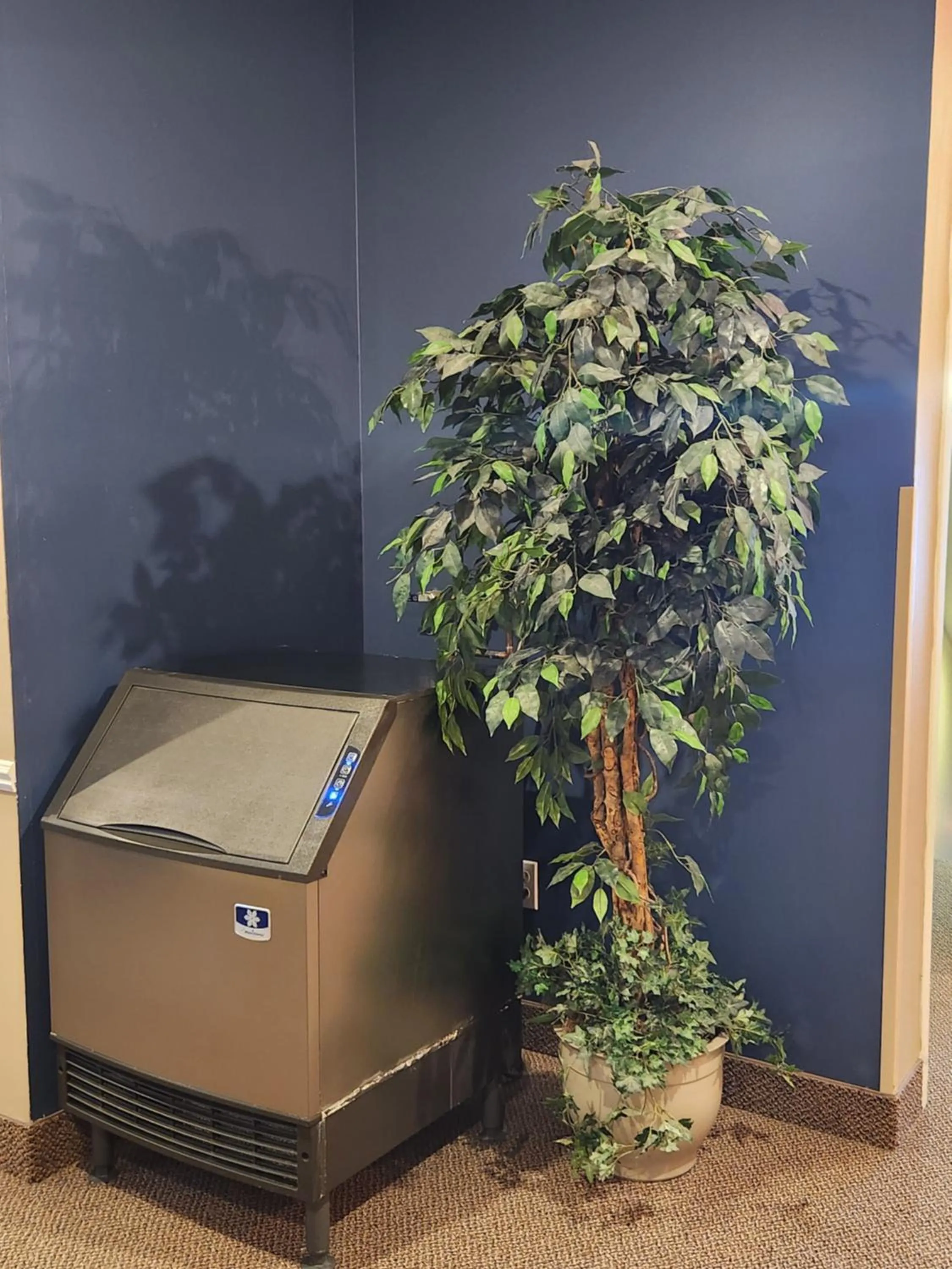 Property building in Weathervane Inn