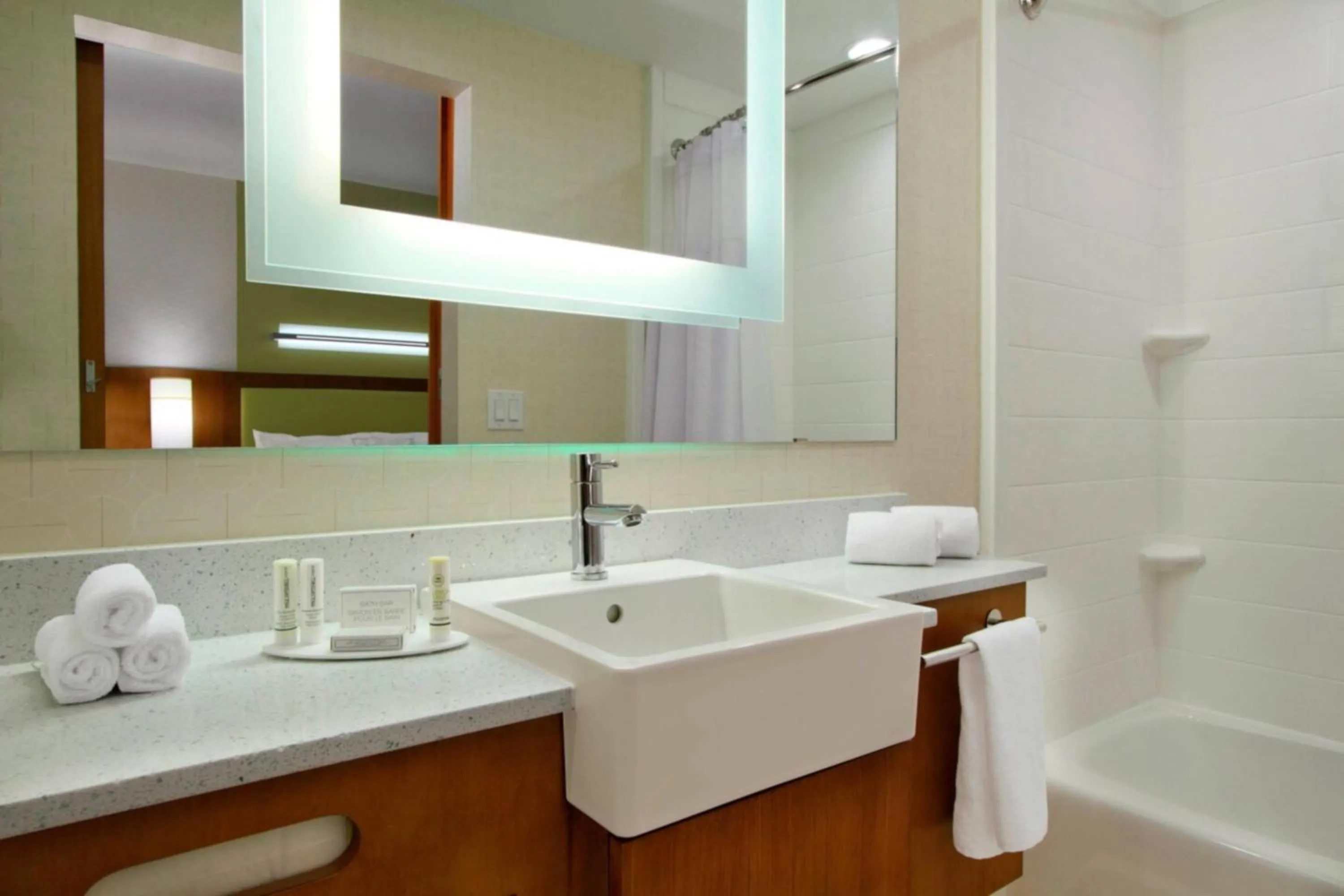 Bathroom in SpringHill Suites by Marriott Houston I-45 North