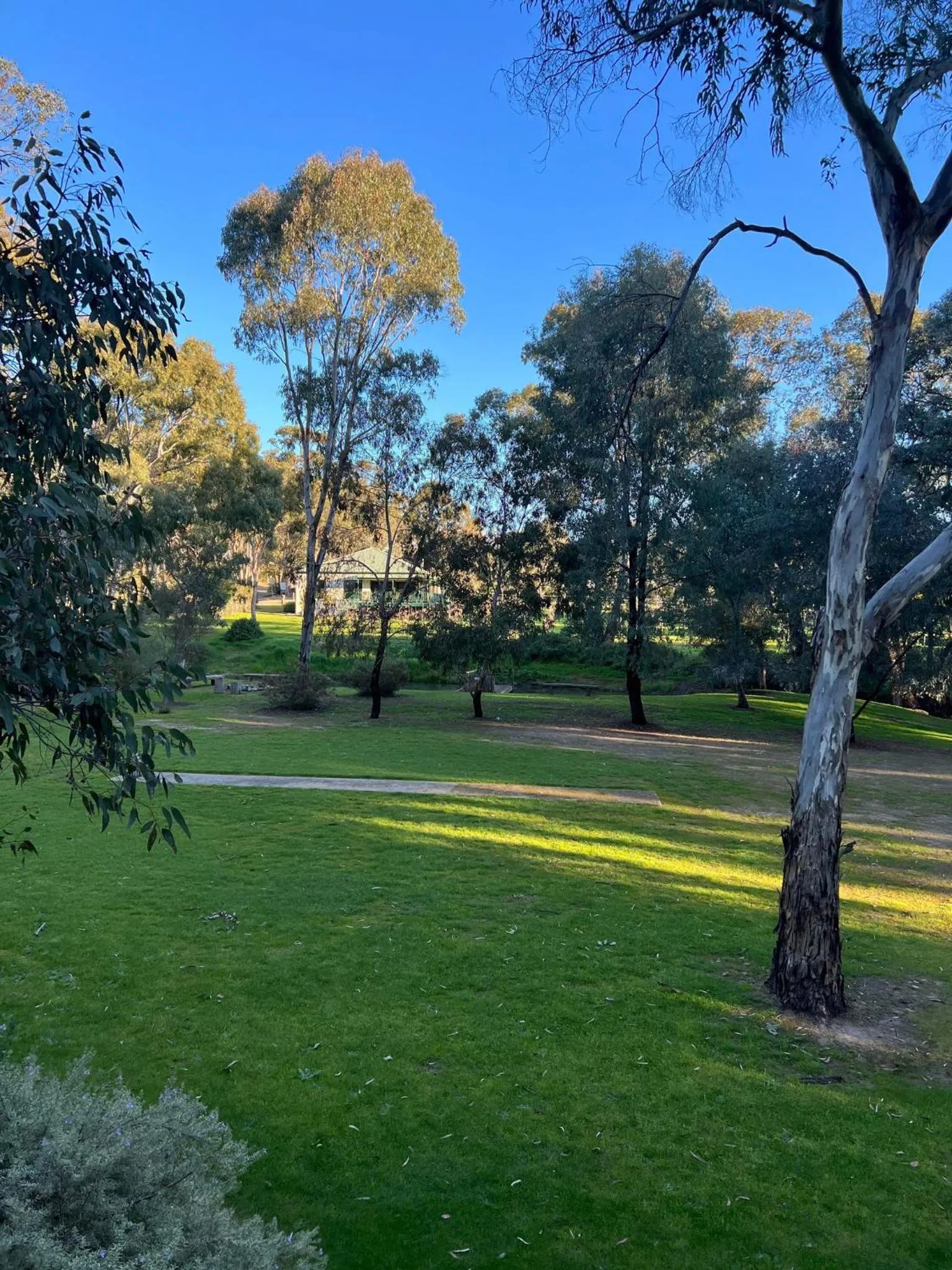 Natural landscape in St Helen's Cottages