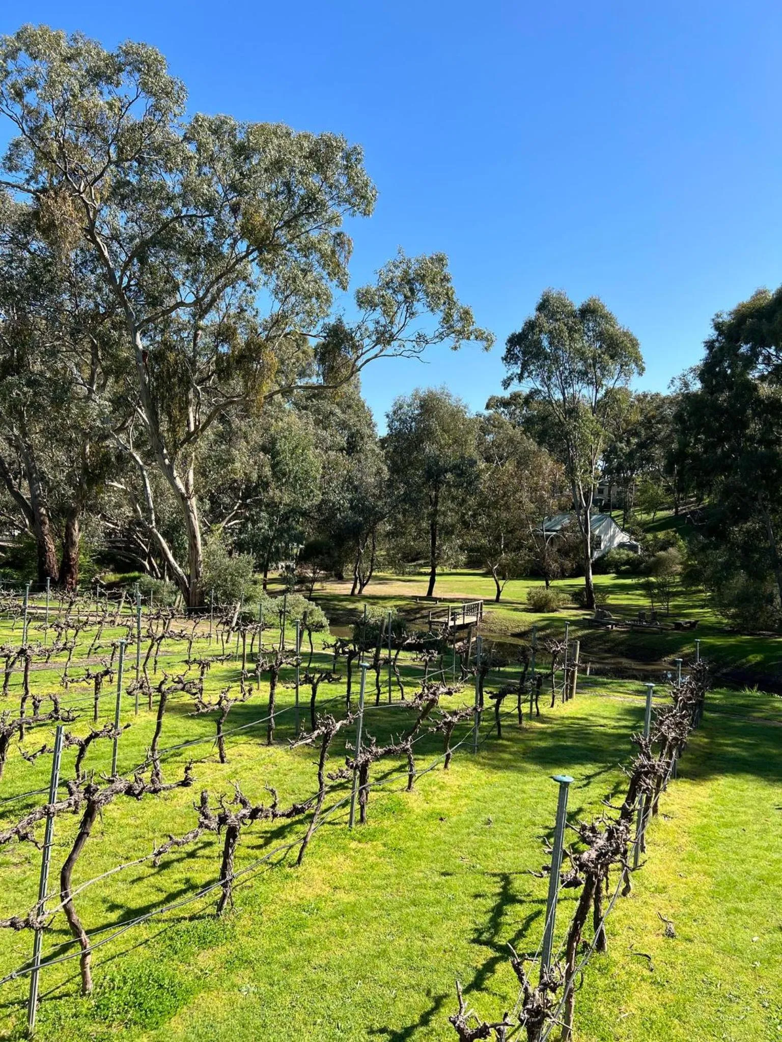 Garden in St Helen's Cottages