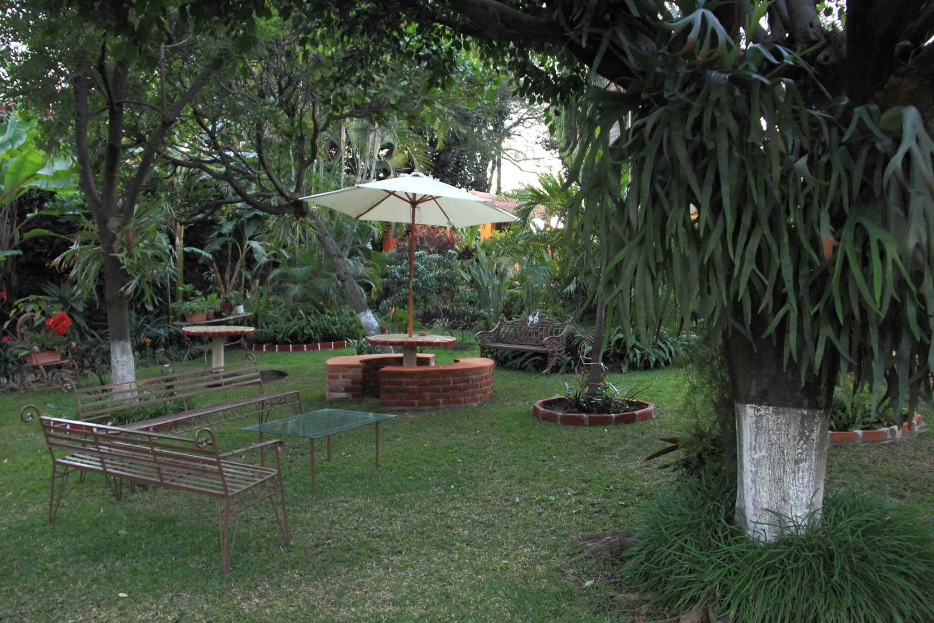 Garden in CasaGrande Posada Ejecutiva