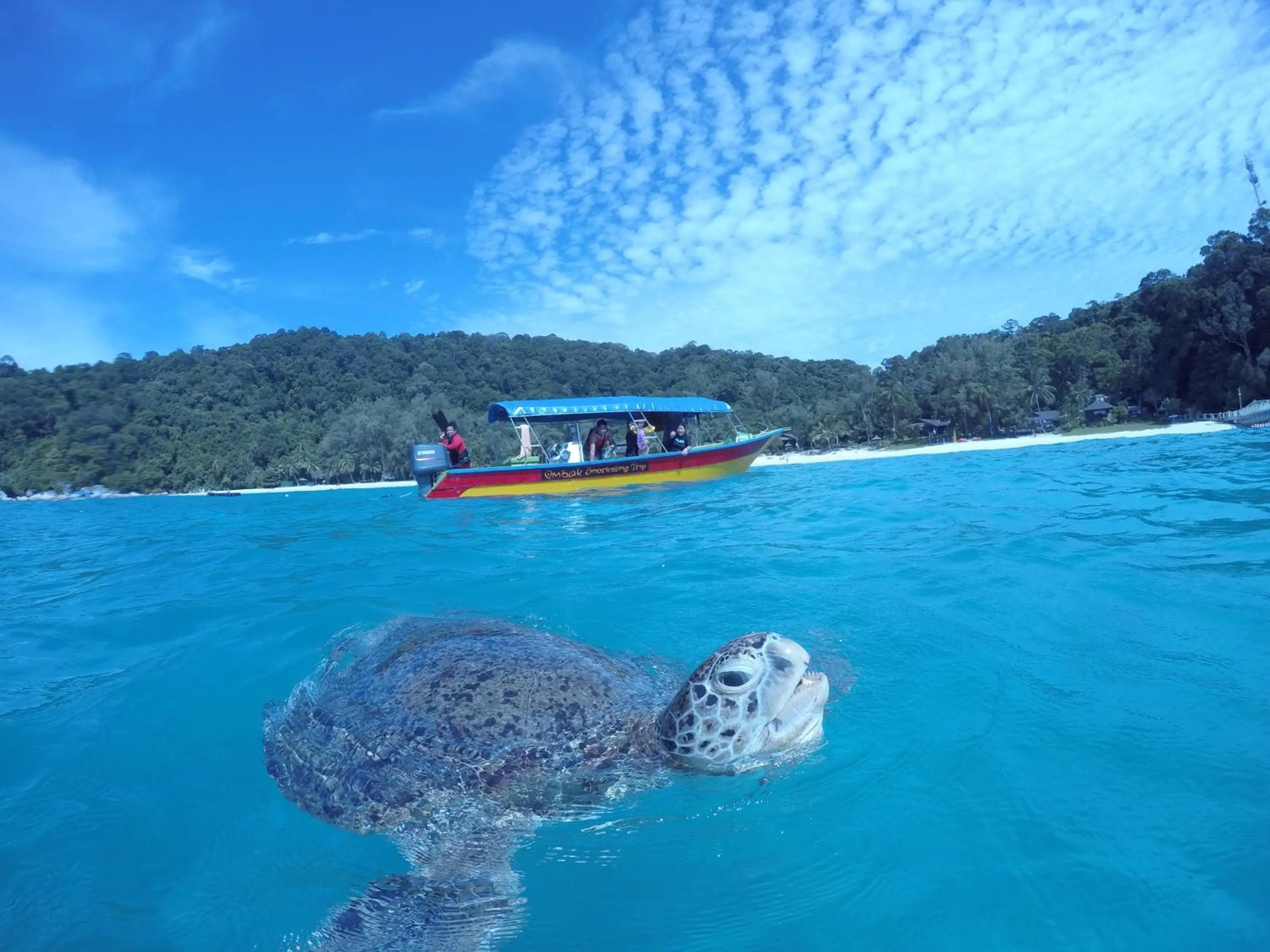 Day in Ombak Dive Resort Perhentian Island