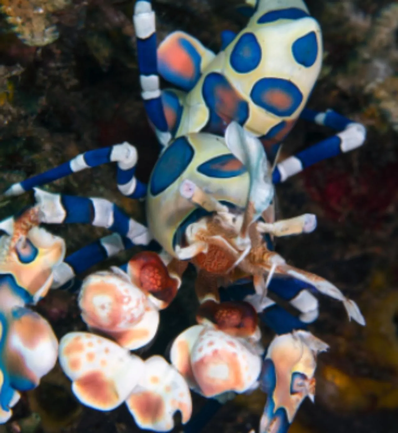 Activities in Shunyata Villas Bali