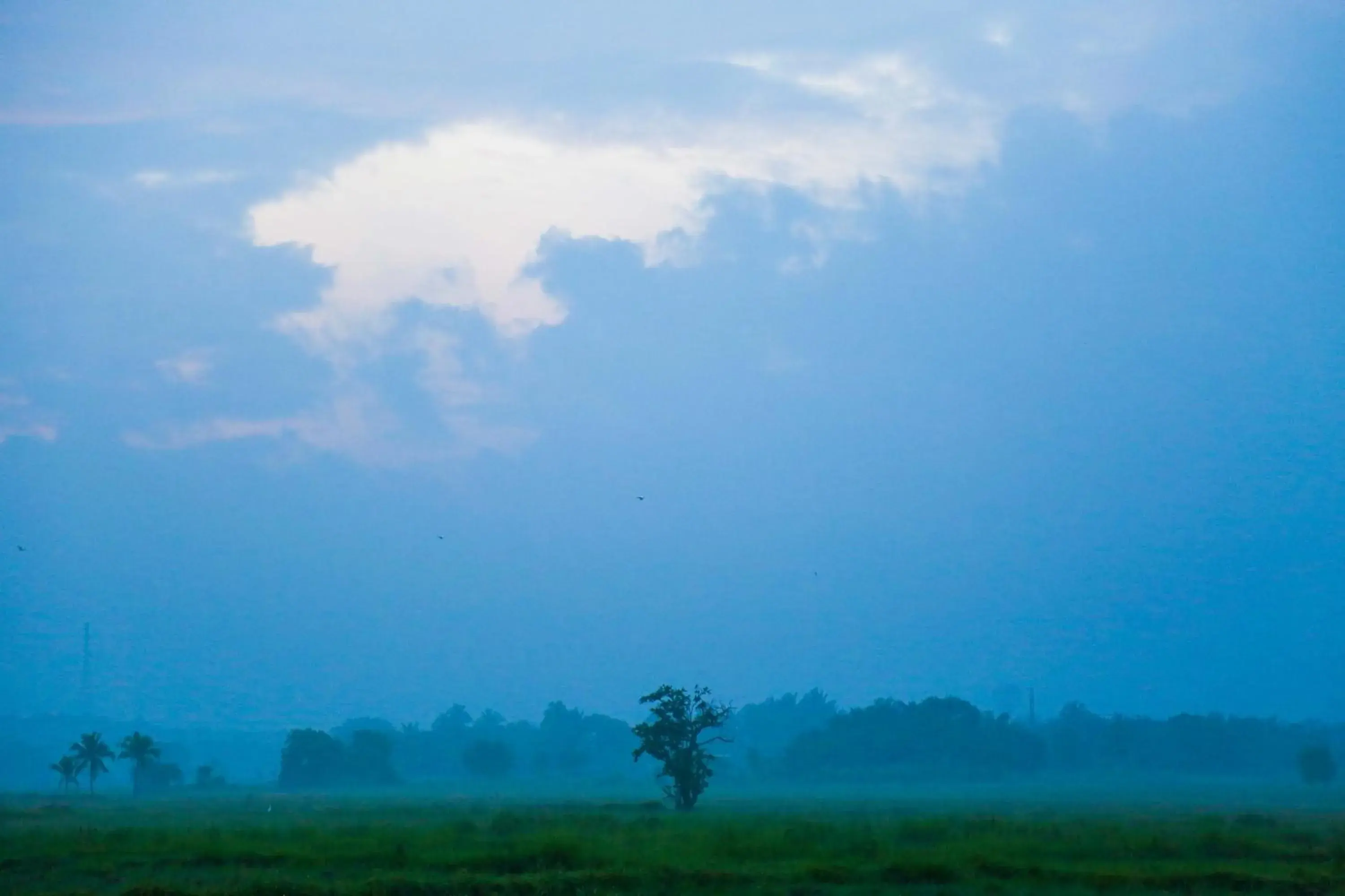 Natural landscape in Gimanhala Hotel Natural landscape in Gimanhala Hotel
