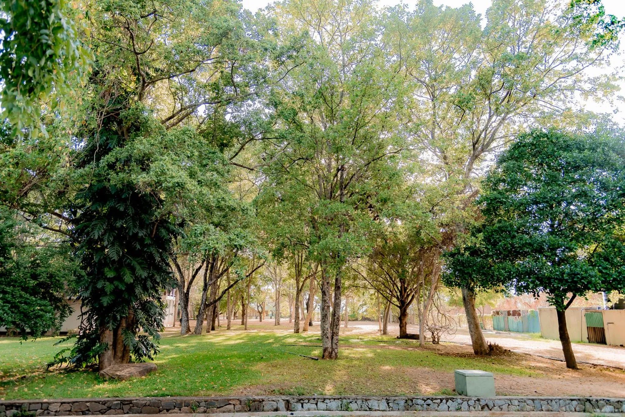 Natural landscape in Gimanhala Hotel
