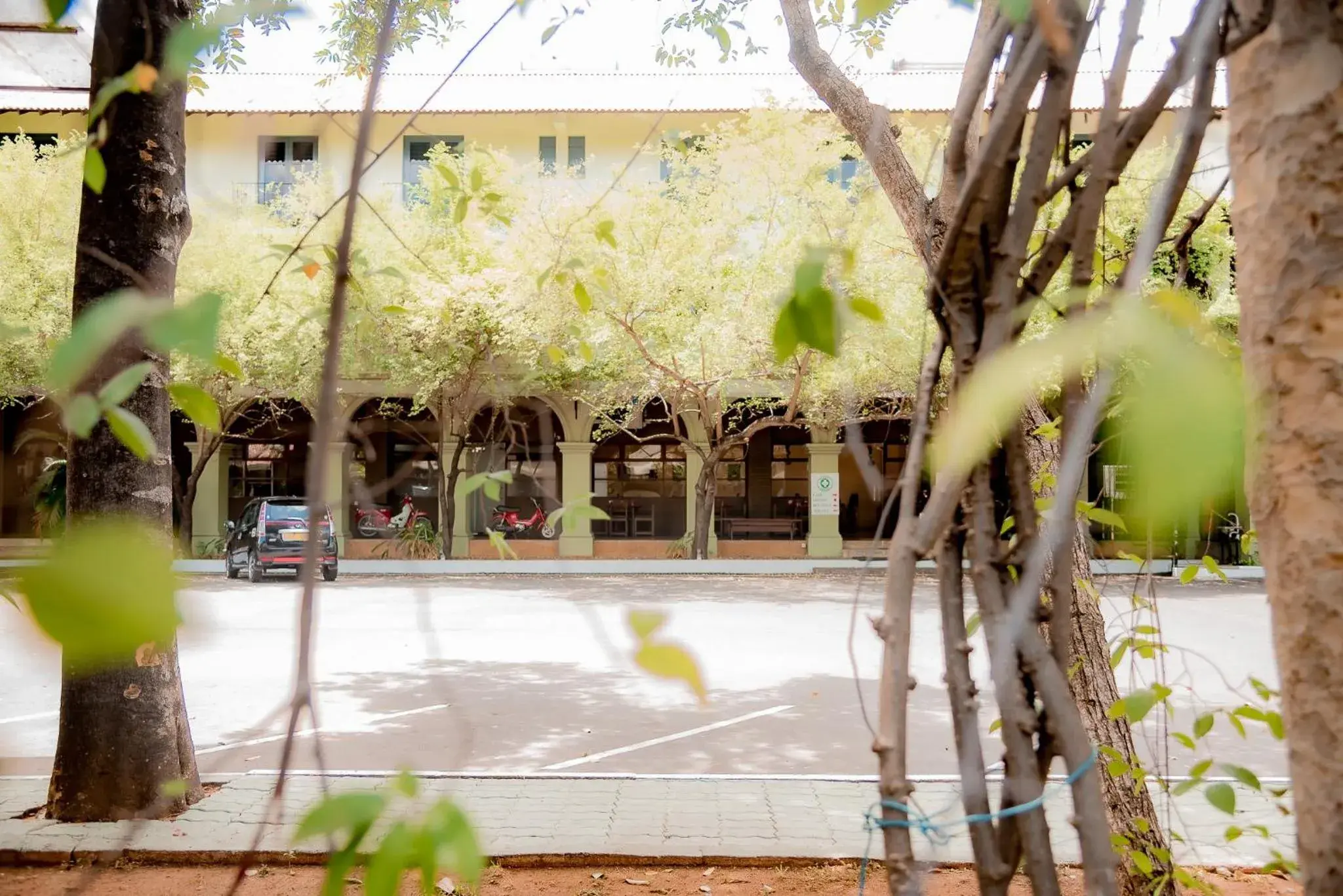 Garden view in Gimanhala Hotel Garden view in Gimanhala Hotel