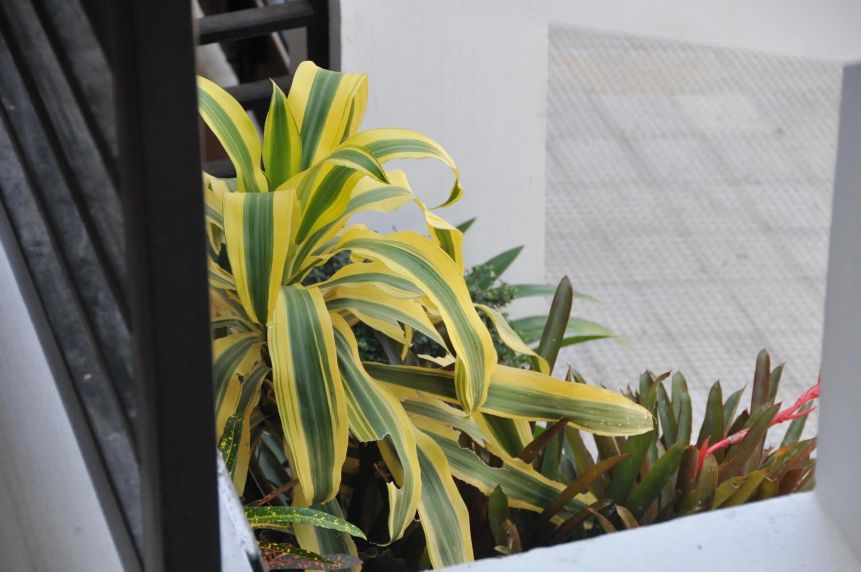 Other in Date & Dine Resort