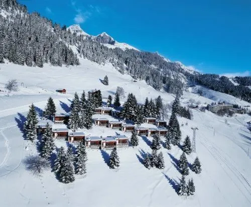 Bird's eye view in Leysin Lodge