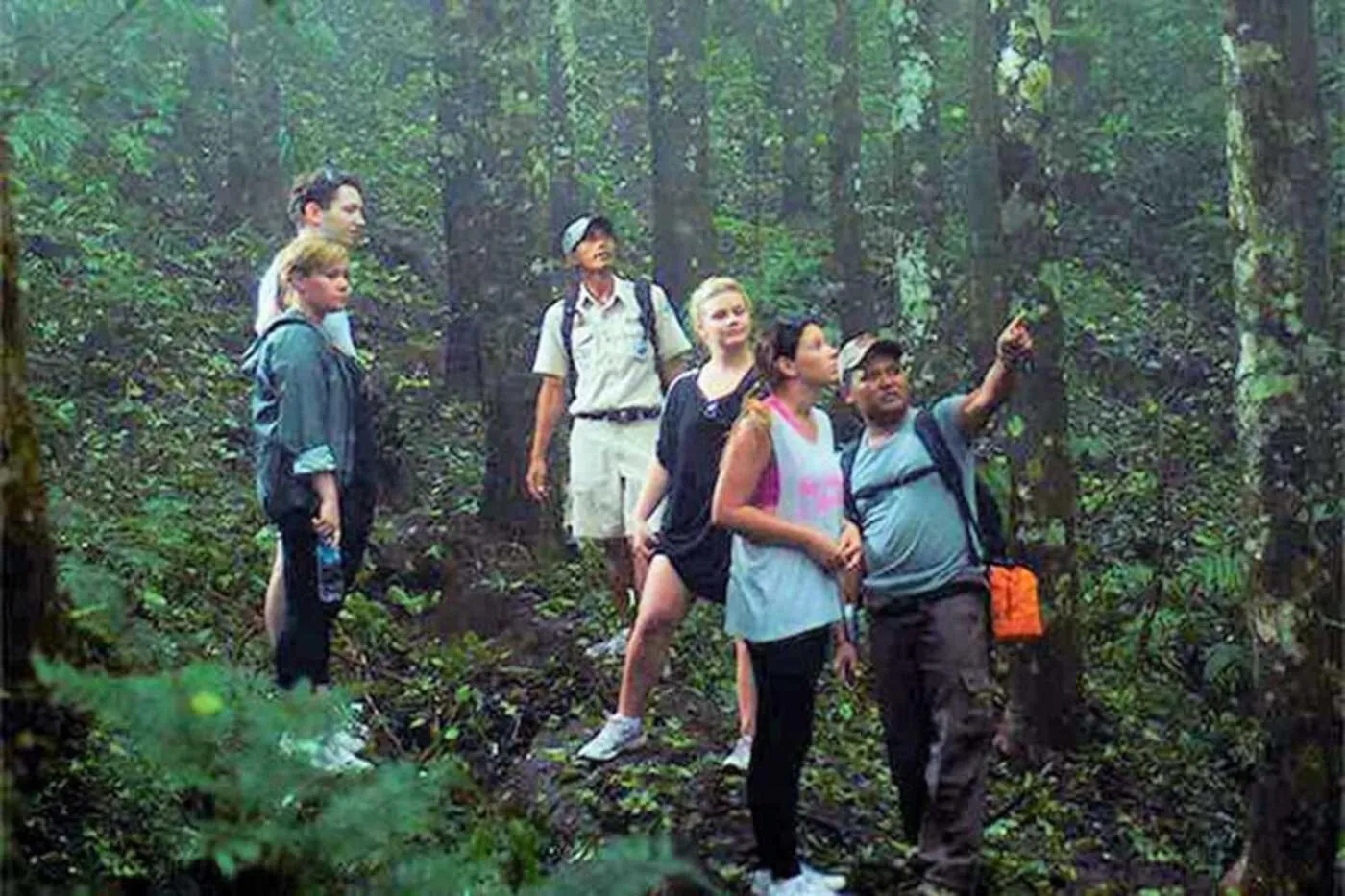 Activities in Maha Nusa Menjangan