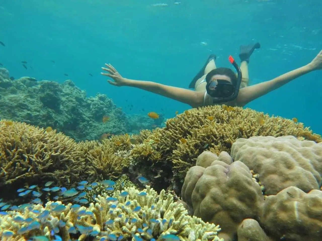 Activities in Maha Nusa Menjangan