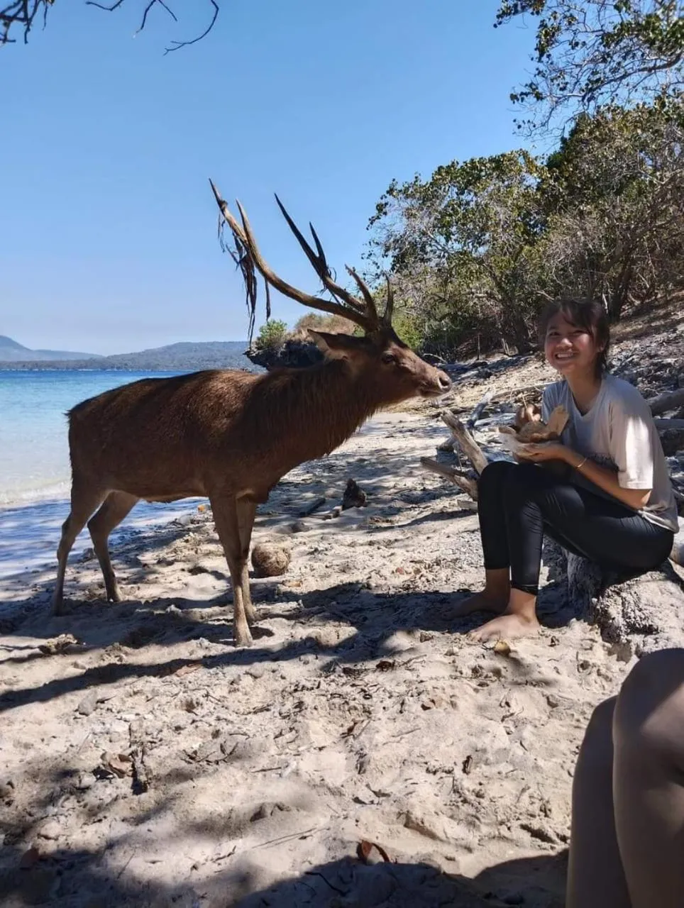 Activities in Maha Nusa Menjangan