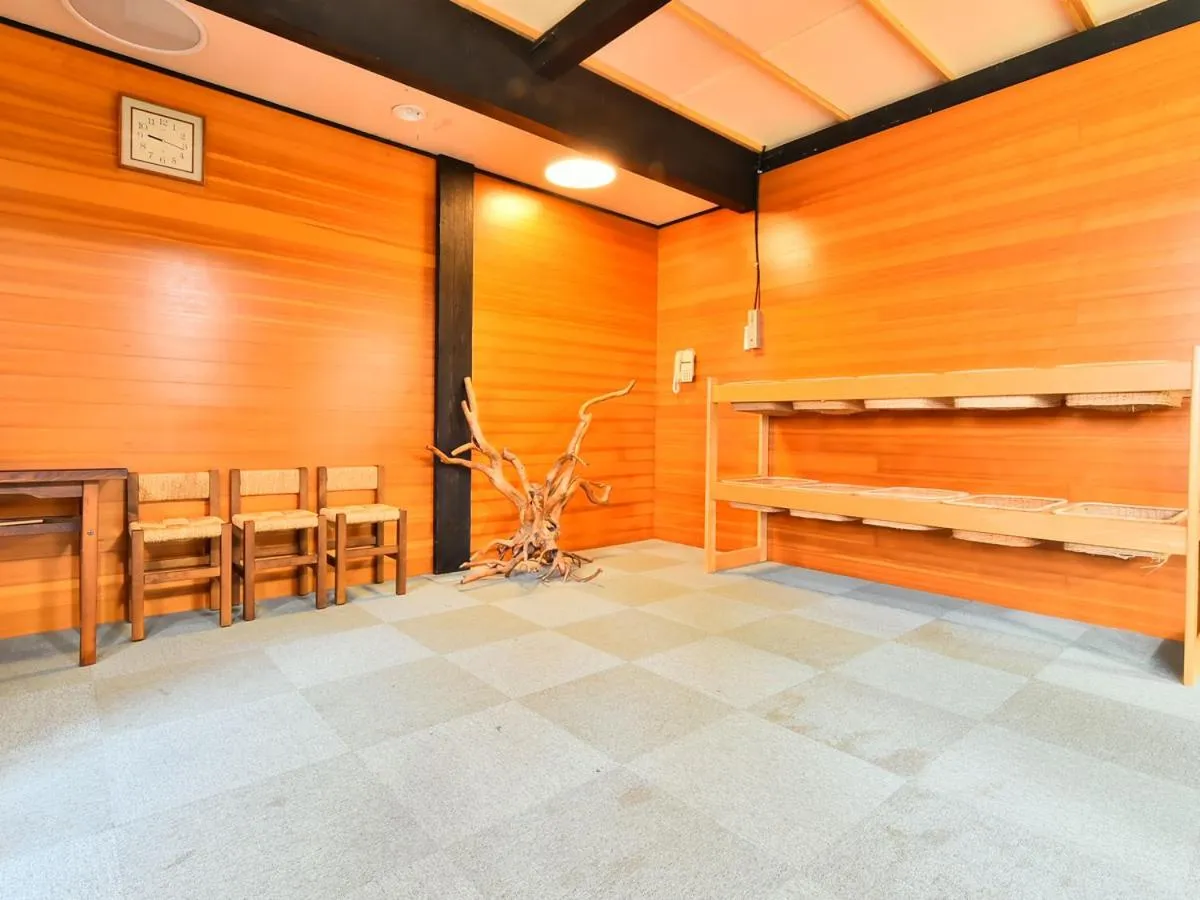 Hot Spring Bath in Alpine Route Hotel