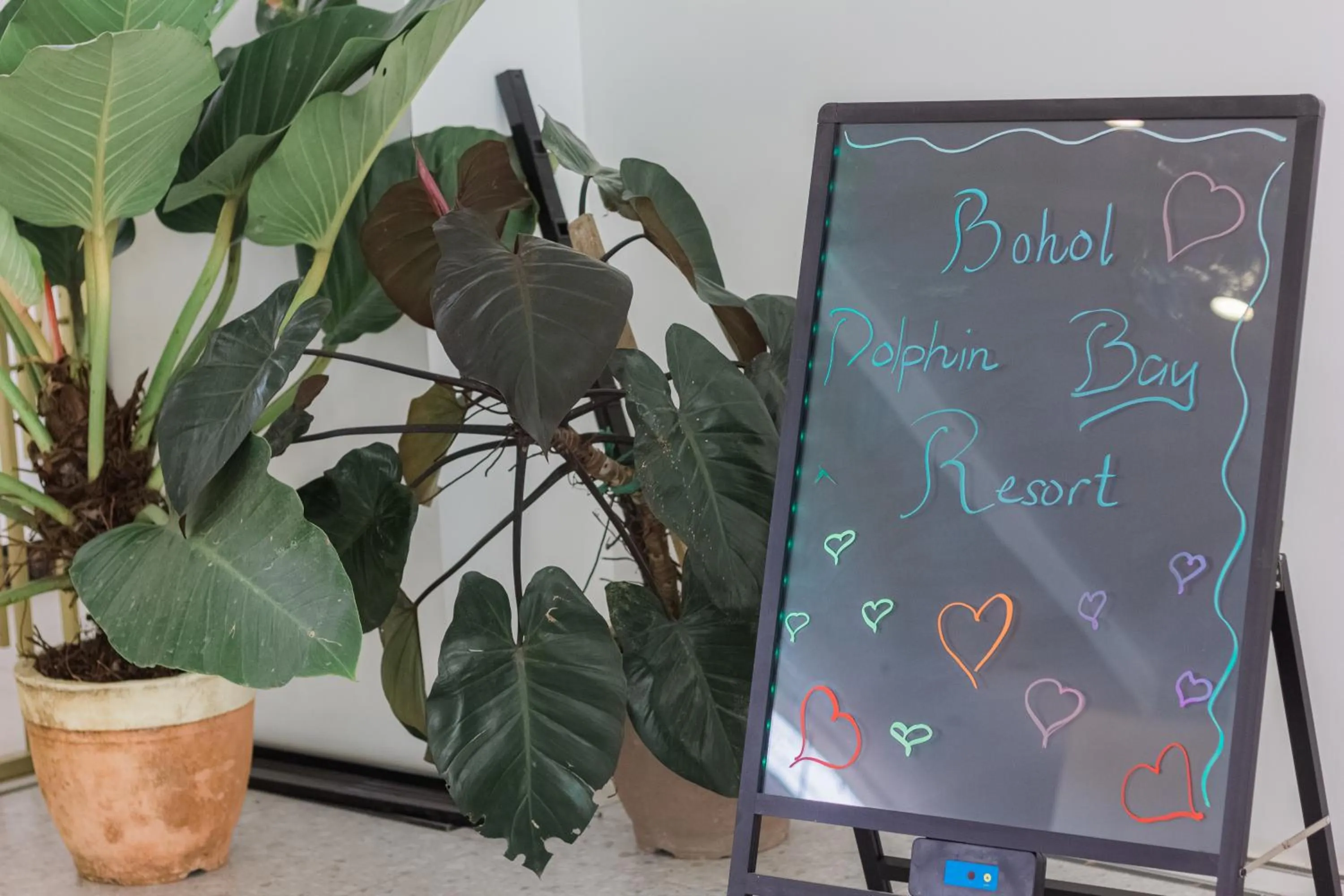 Property logo or sign in Bohol Dolphin Bay Resort