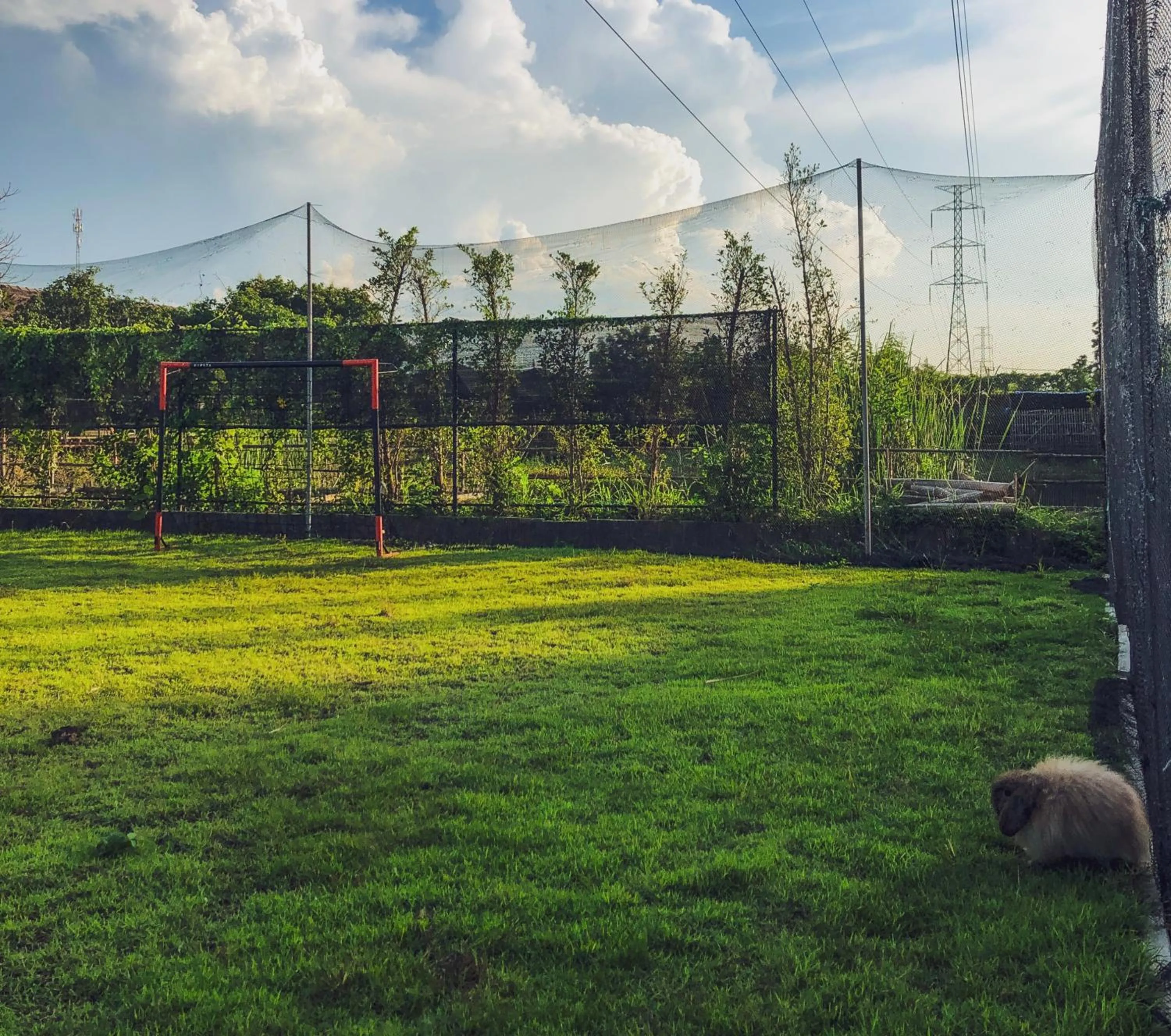 Natural landscape in Beaver Club Homestay