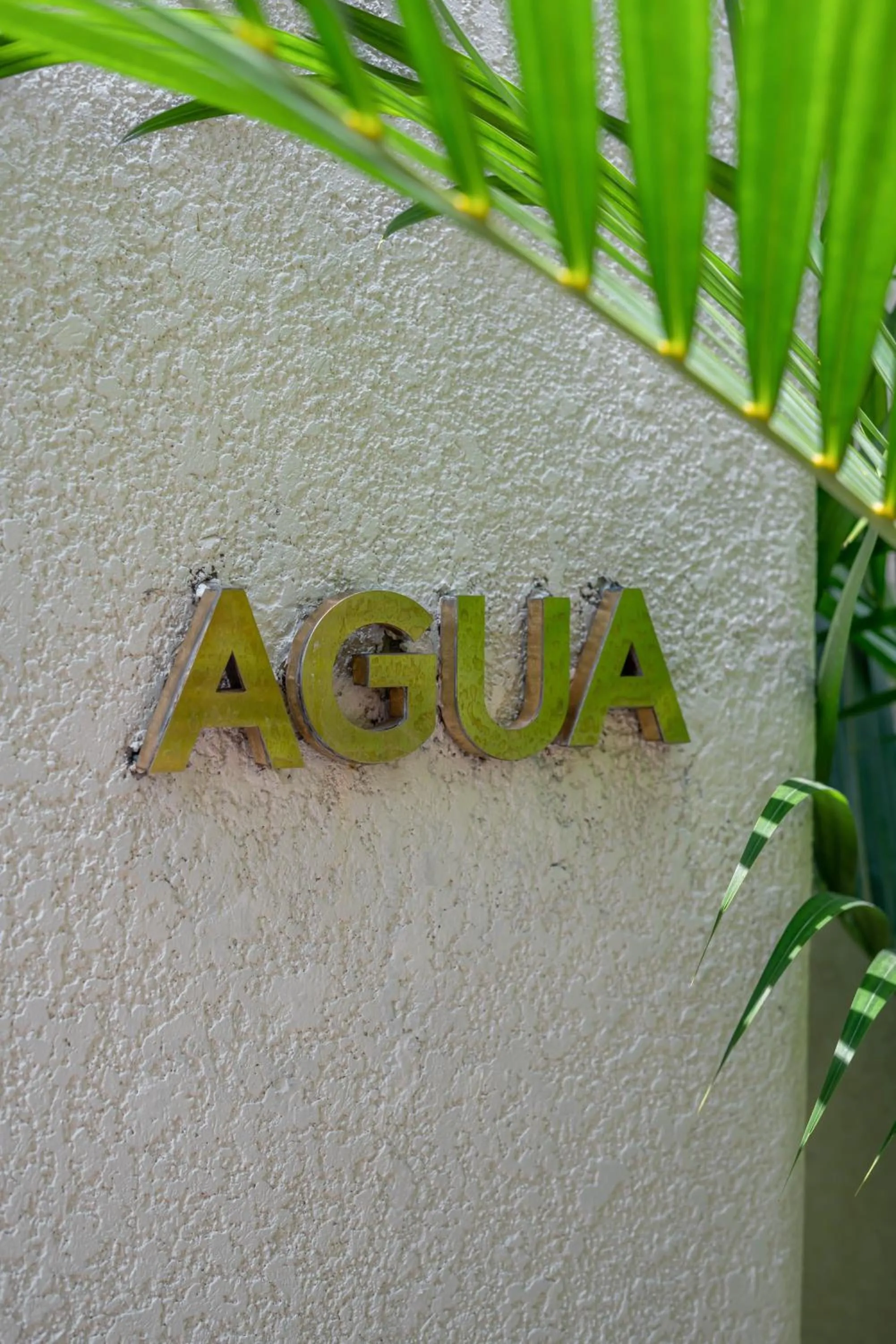 Alegria de la Vida