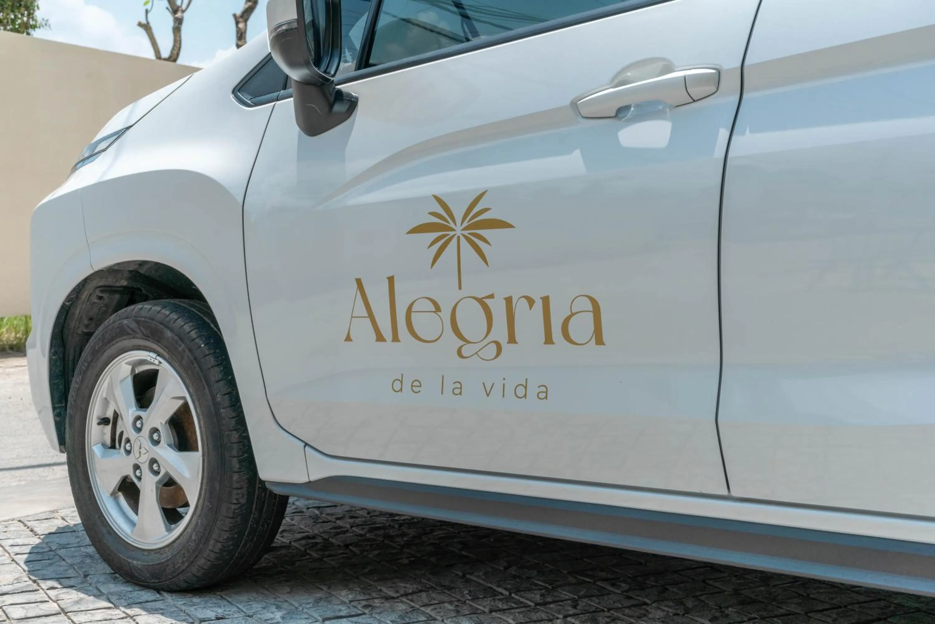 Alegria de la Vida