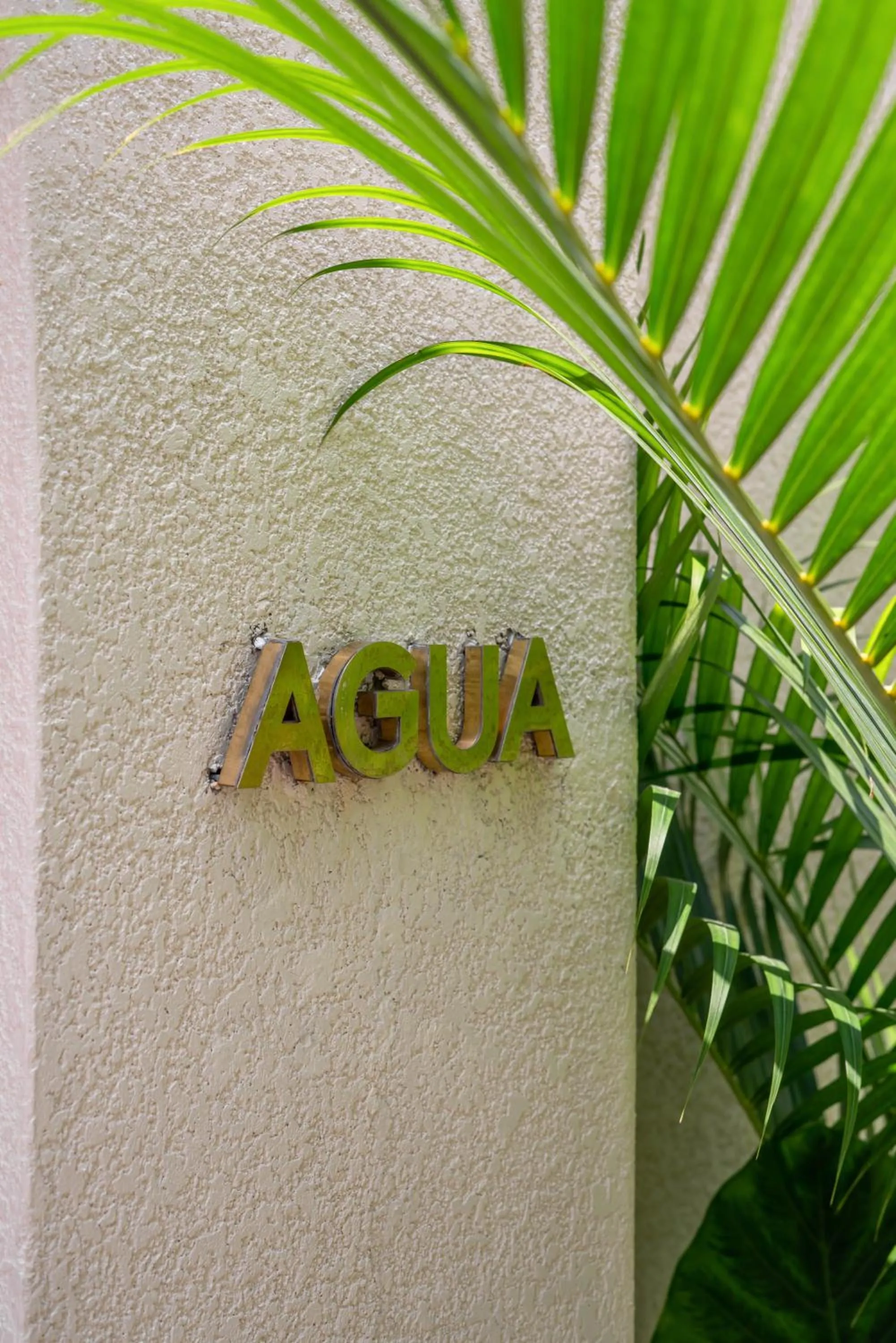 Alegria de la Vida