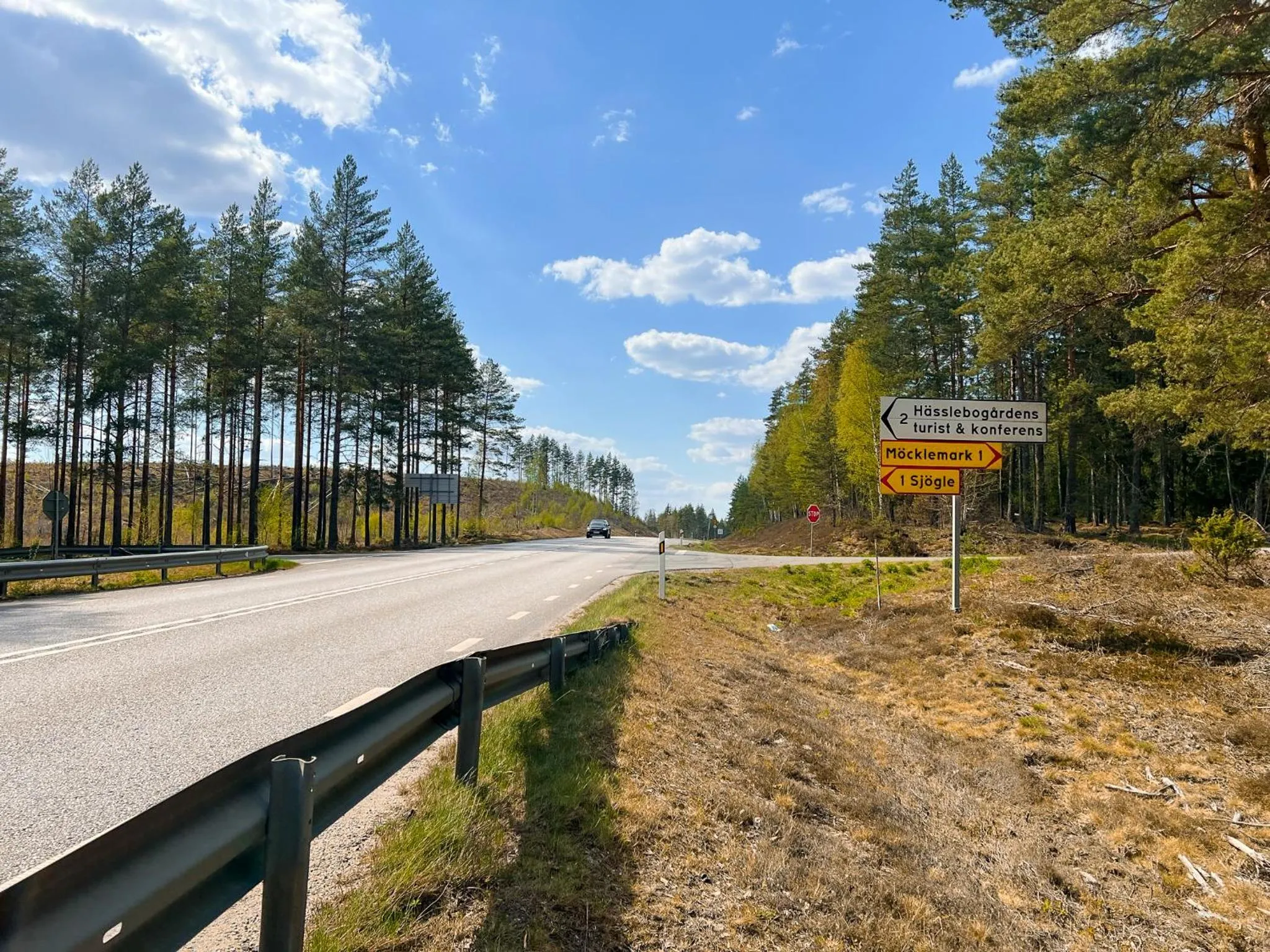 Spring in Hässlebogården Turist & Konferens
