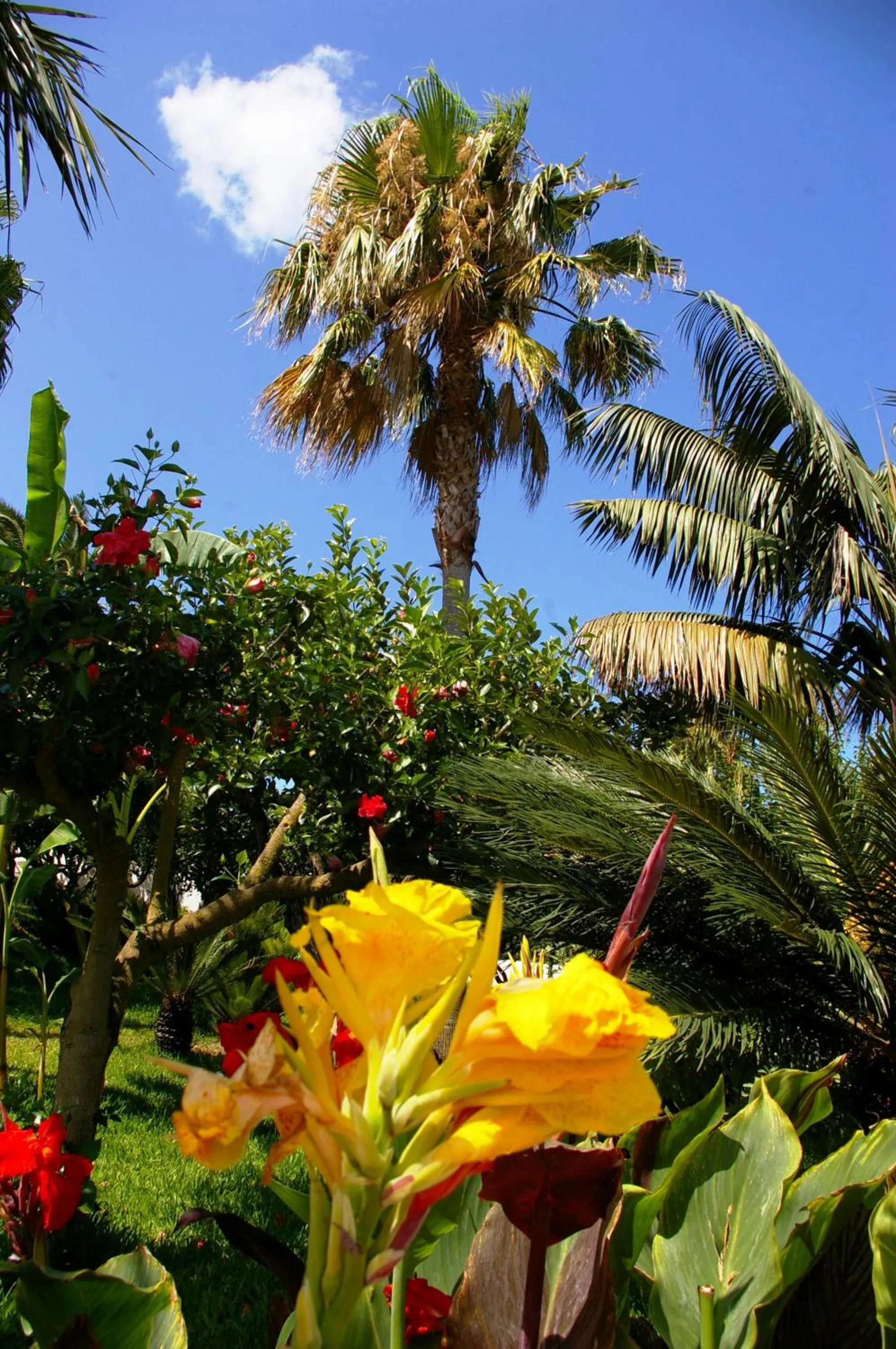 Garden in Hotel Residence Costa Azzurra