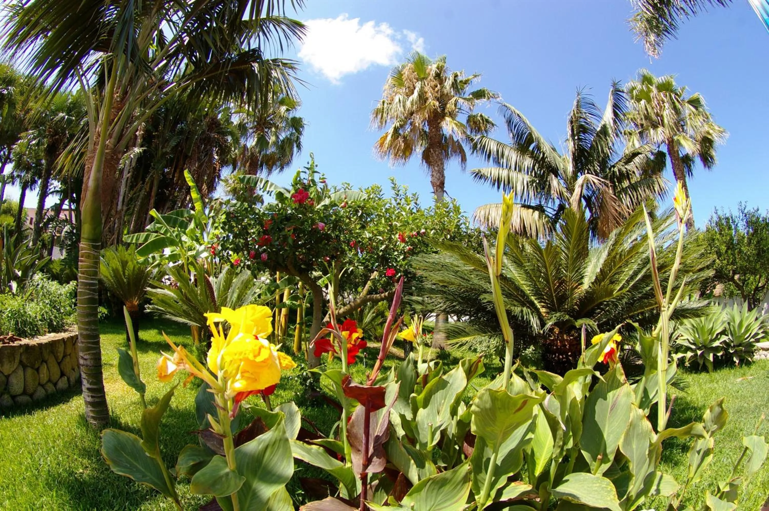 Garden in Hotel Residence Costa Azzurra