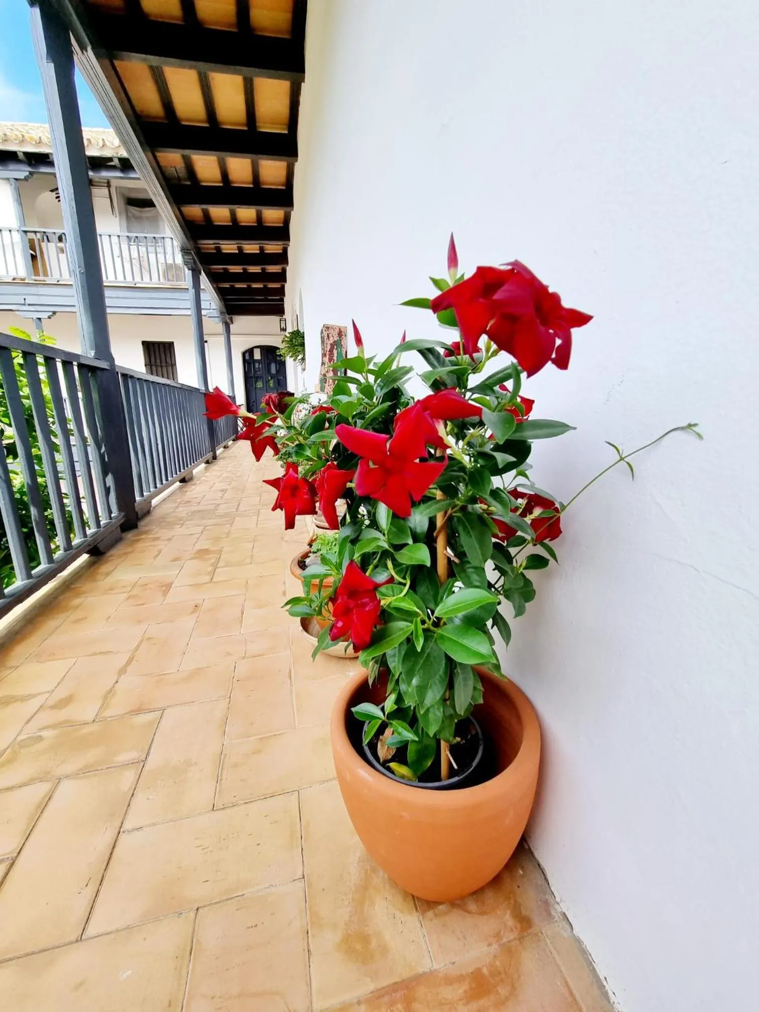 Apartamento con Patio Sevillano