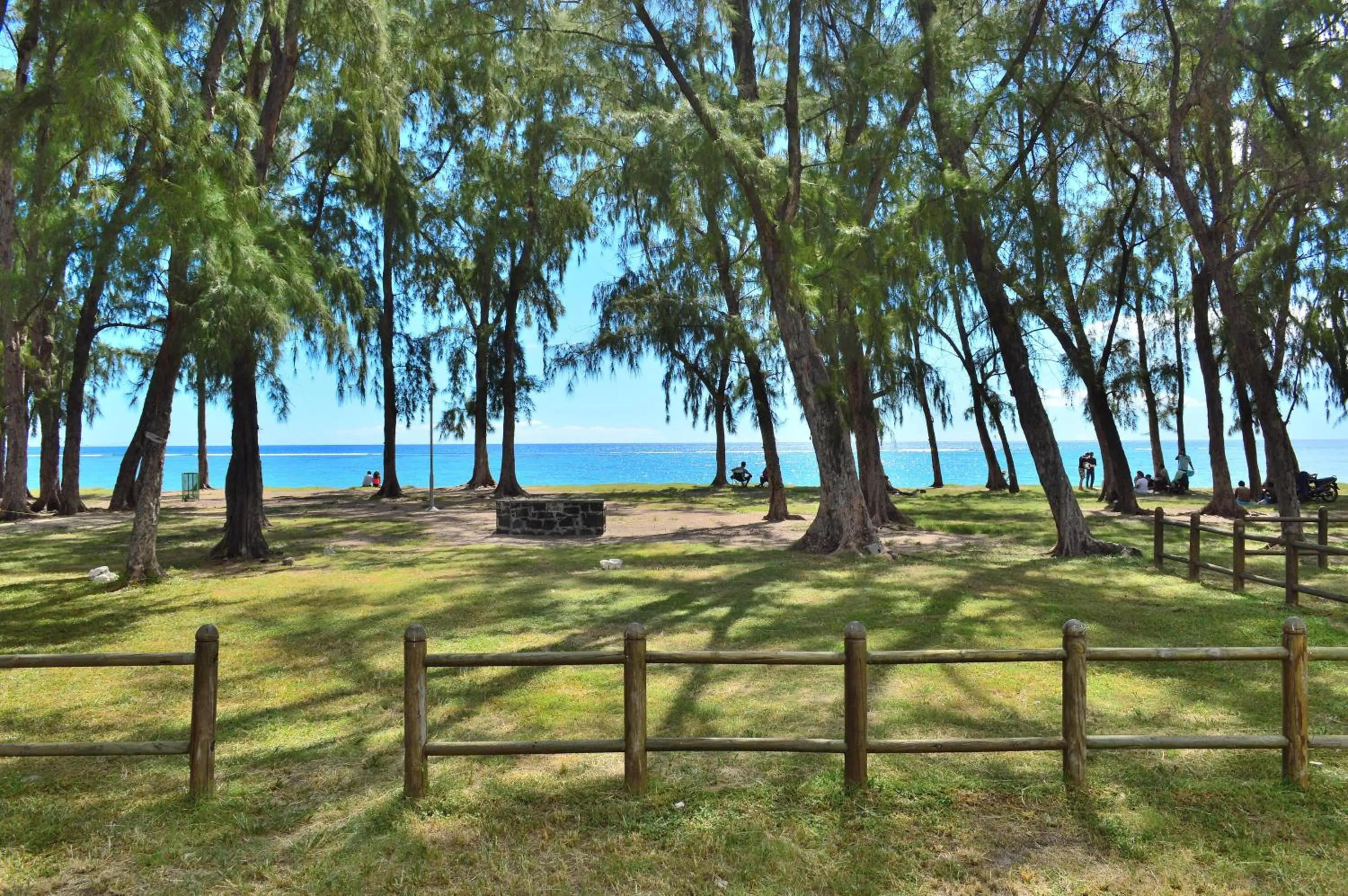 Area and facilities in Paradya Beach Apartments