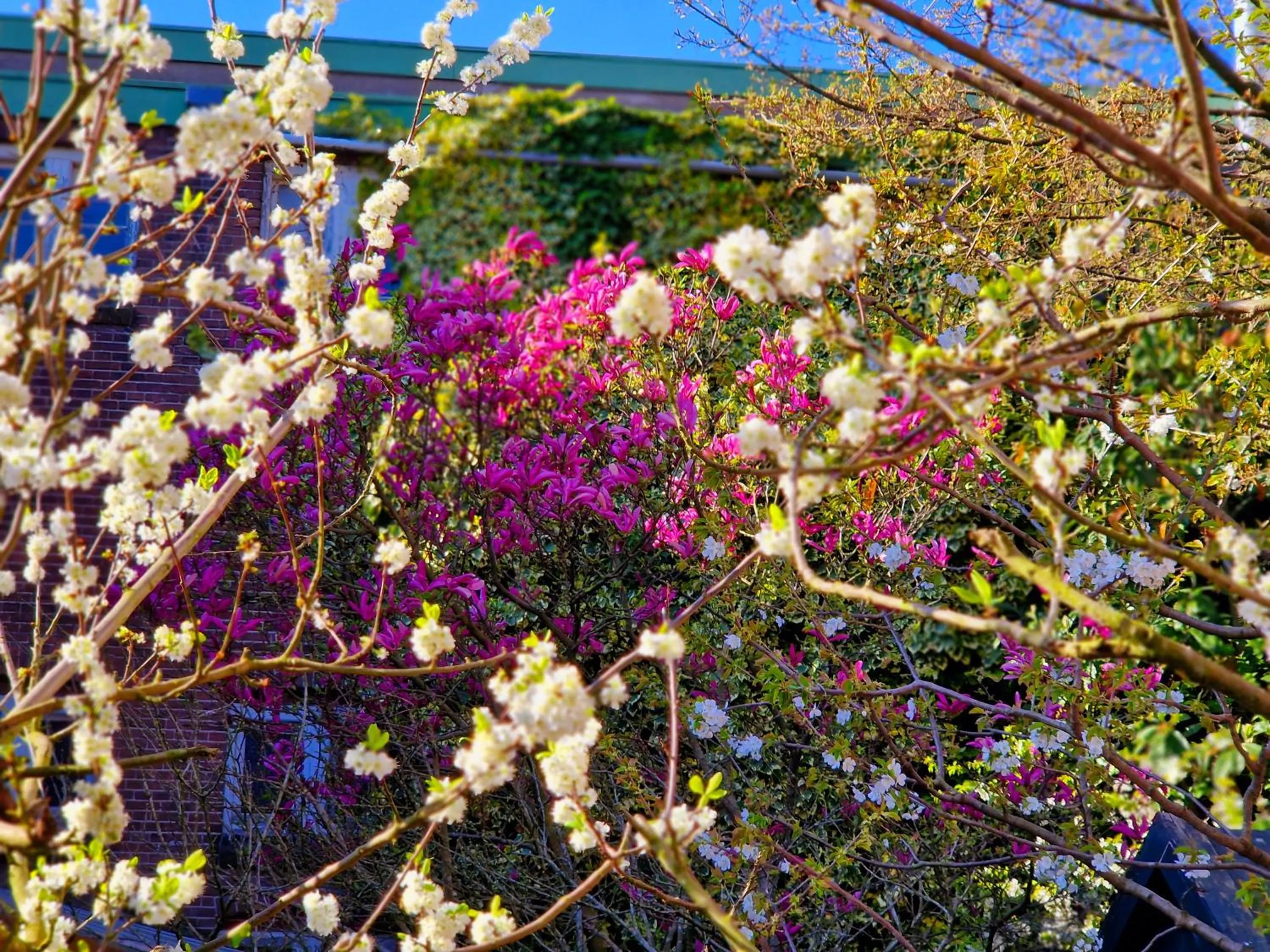 Balcony/Terrace in Chasse Residency Hotel