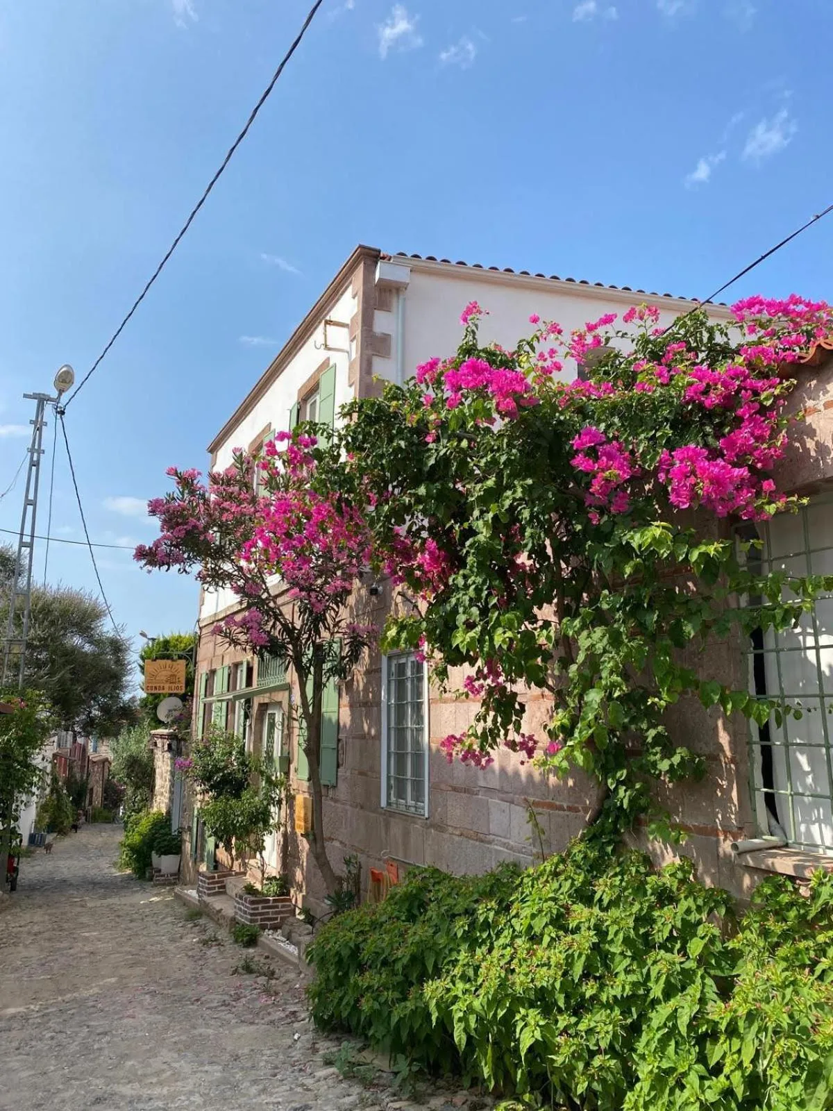 Property building in Cunda ILIOS