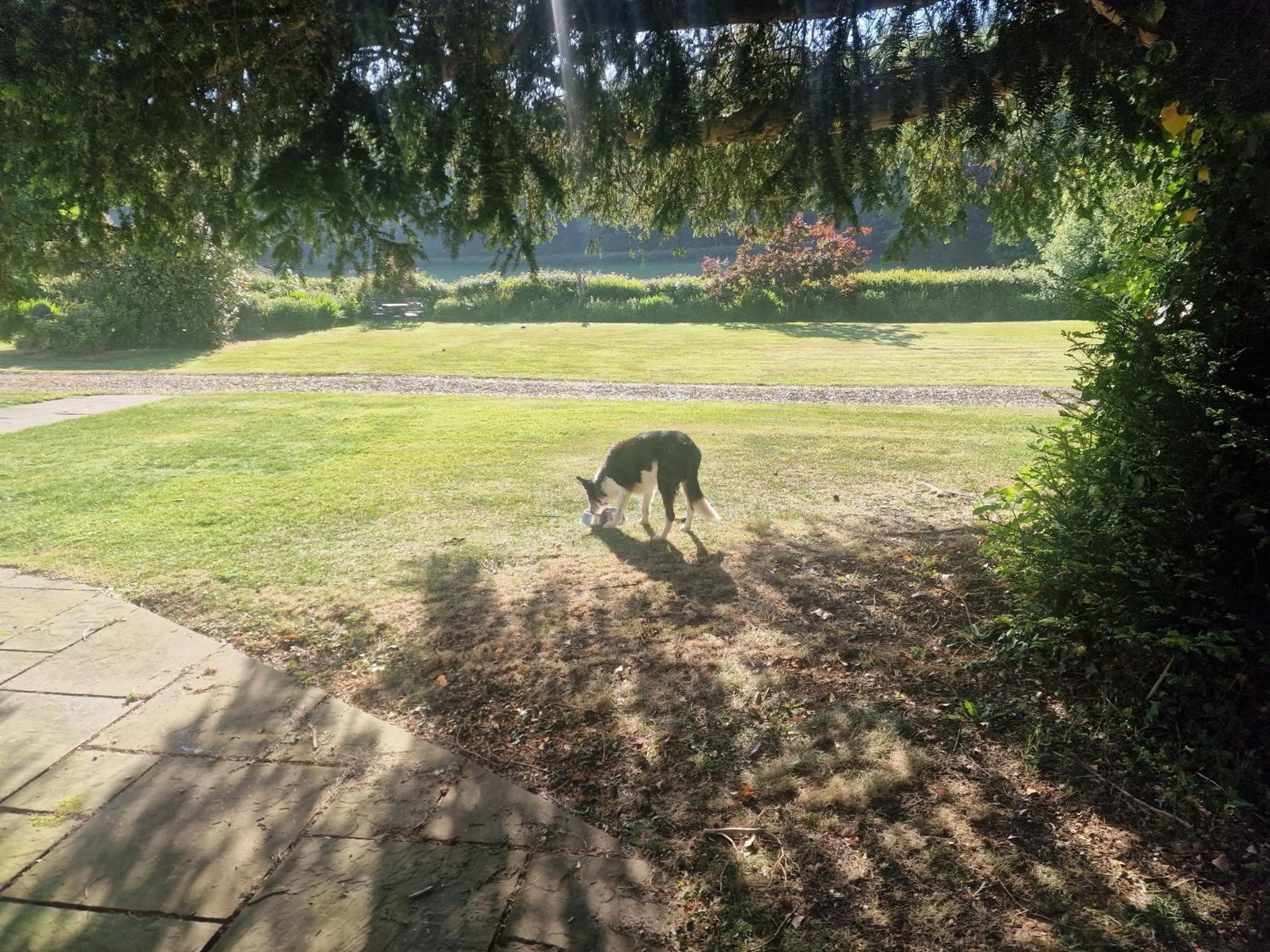 Spring in Glyn Isa Country House luxury self catering accommodation