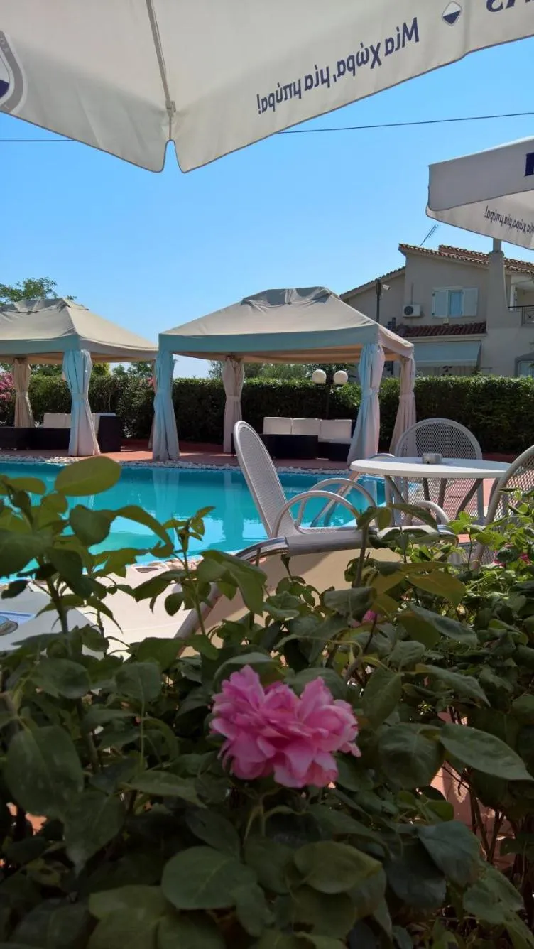 Pool view in Assembly Hotel