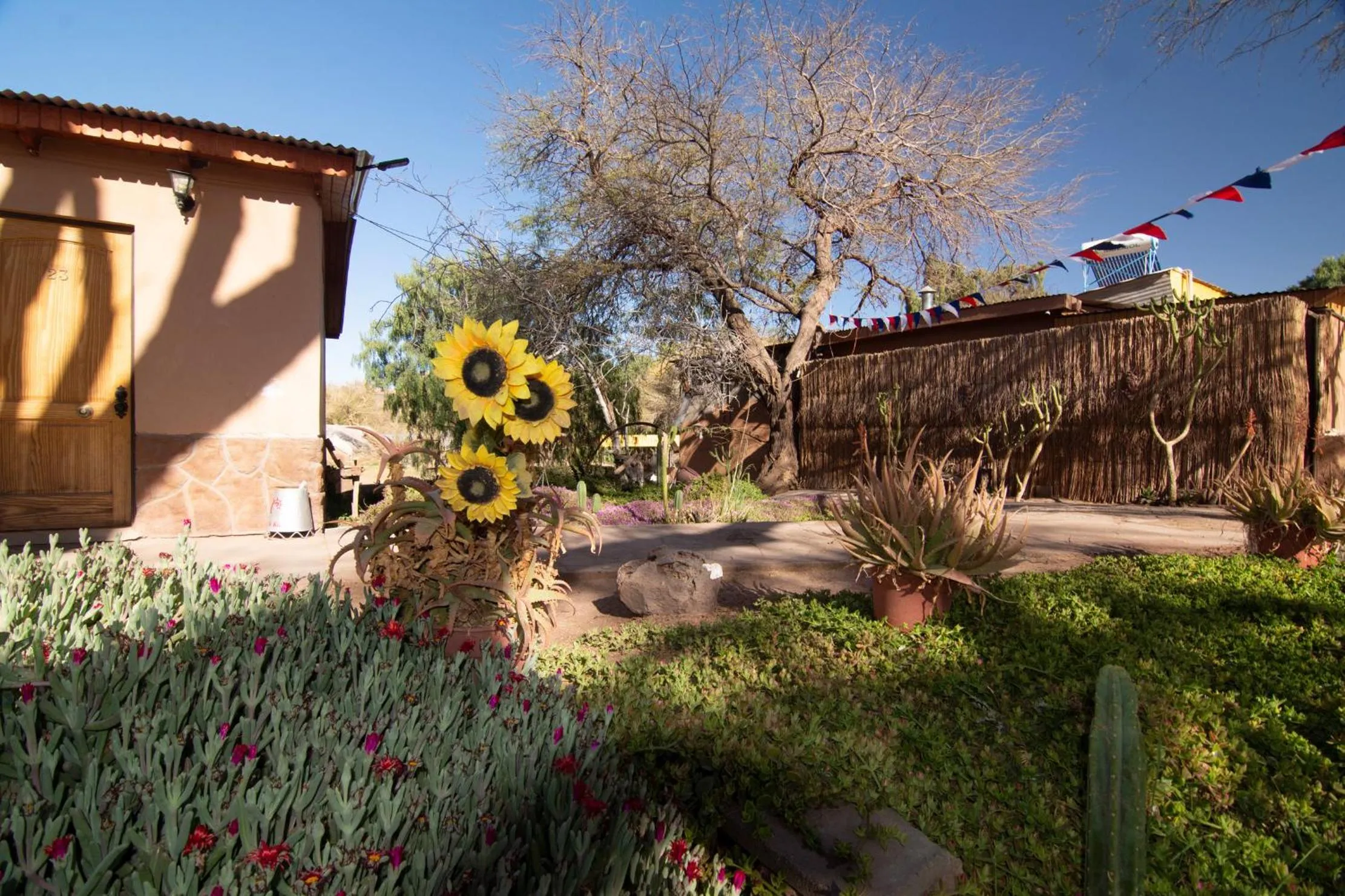 Garden in Inti & Killa Hostal