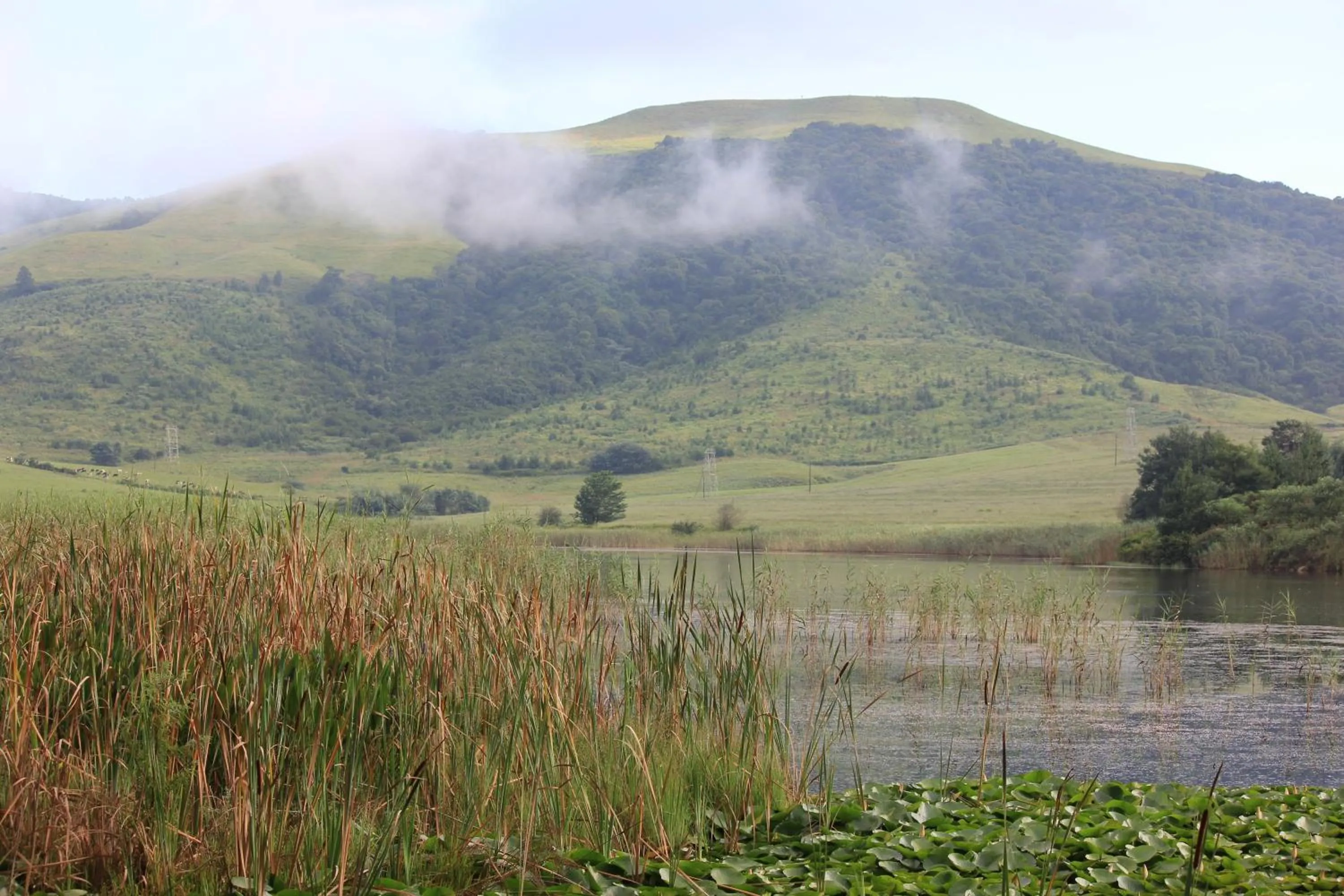 View (from property/room) in Beacon Vlei Guest farm