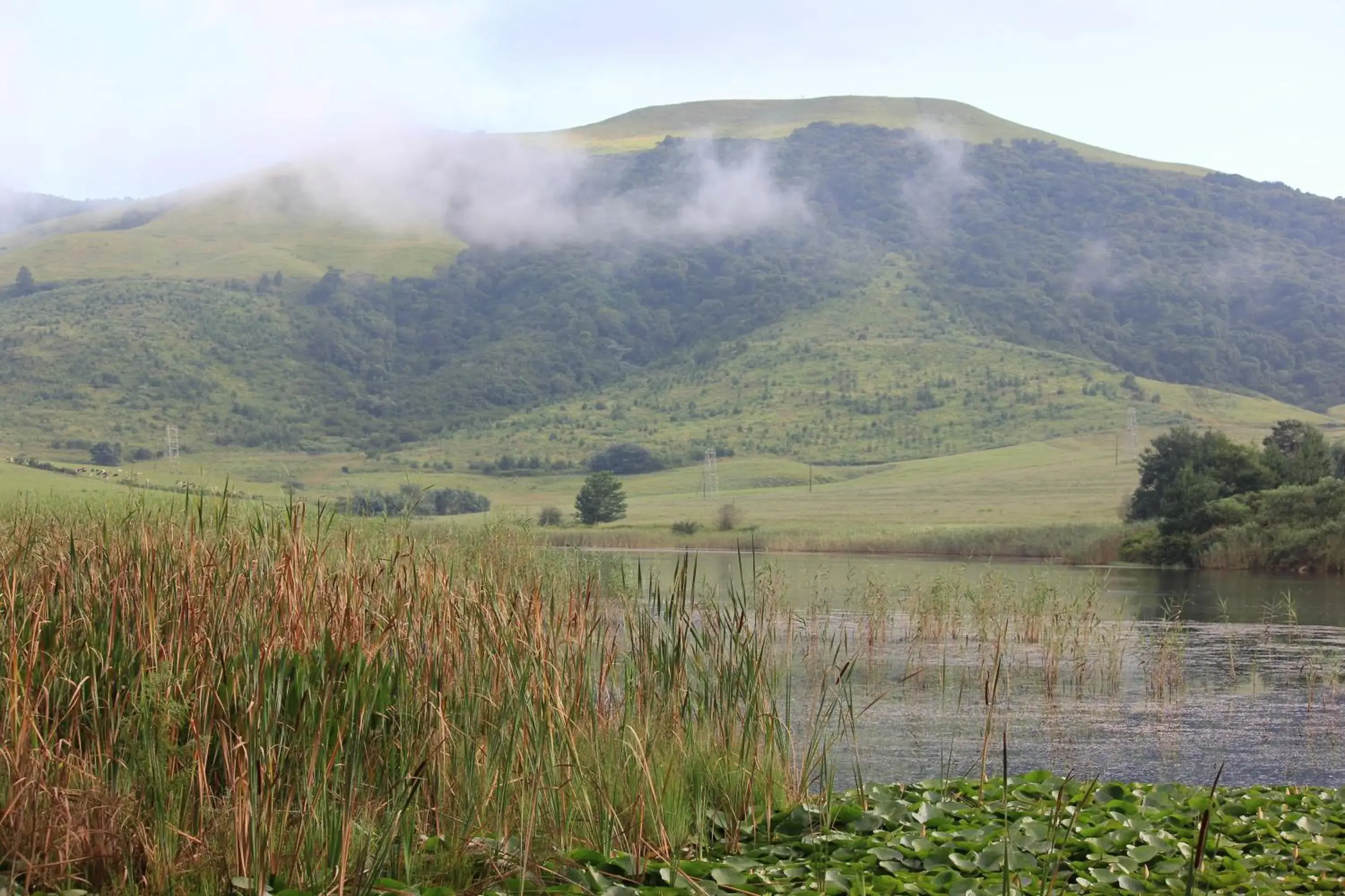 View (from property/room) in Beacon Vlei Guest farm View (from property/room) in Beacon Vlei Guest farm