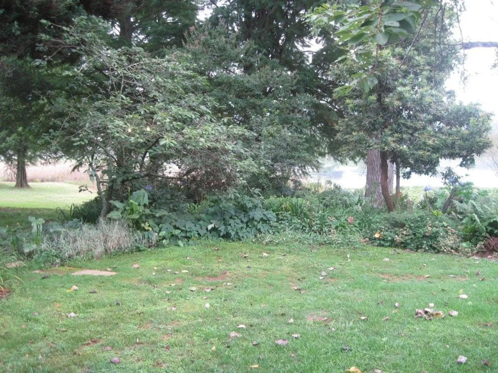 Garden view in Beacon Vlei Guest farm Garden view in Beacon Vlei Guest farm